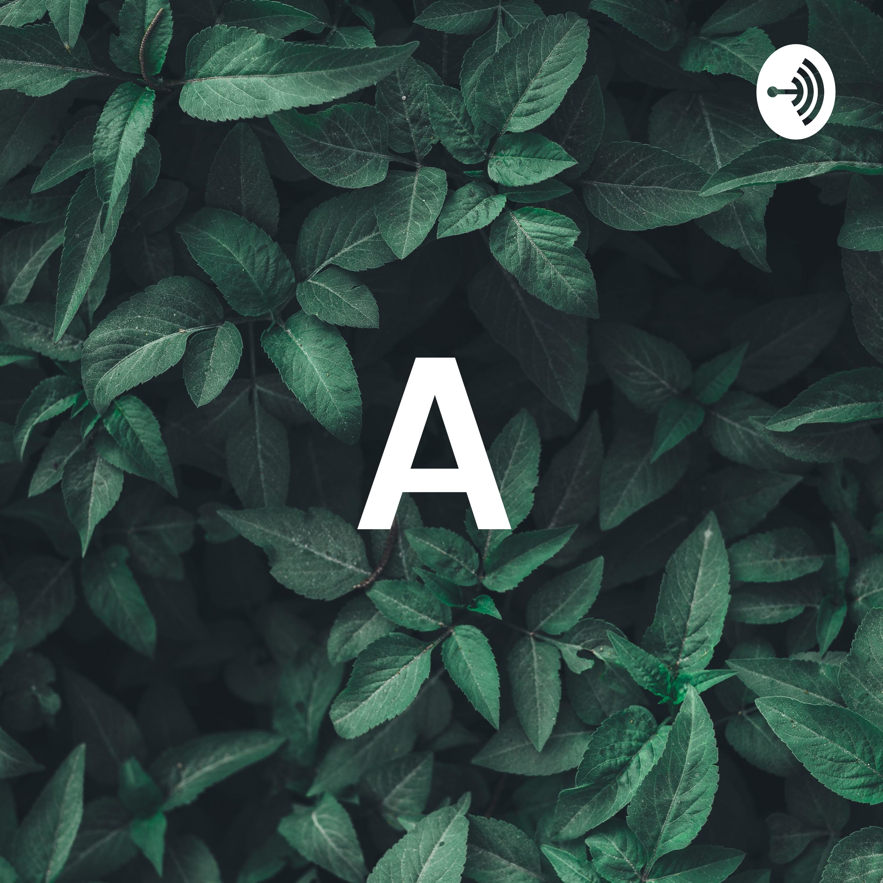 A af Amalie Trillingsgaard