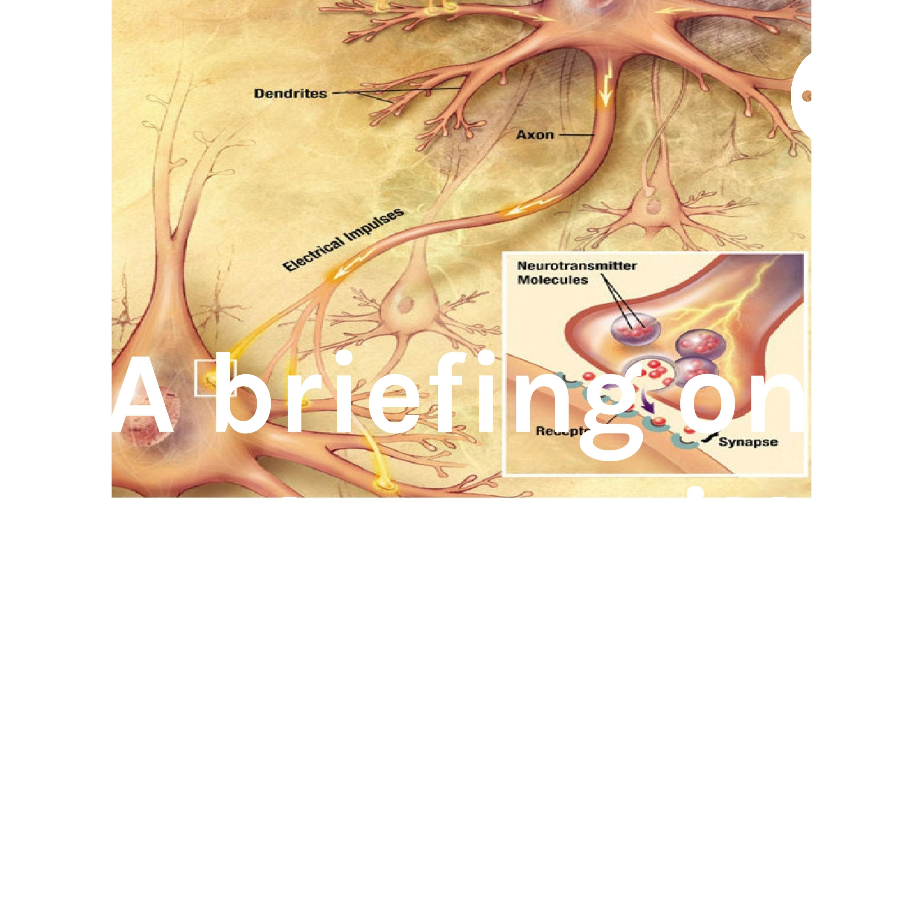A briefing on Neurotransmitters