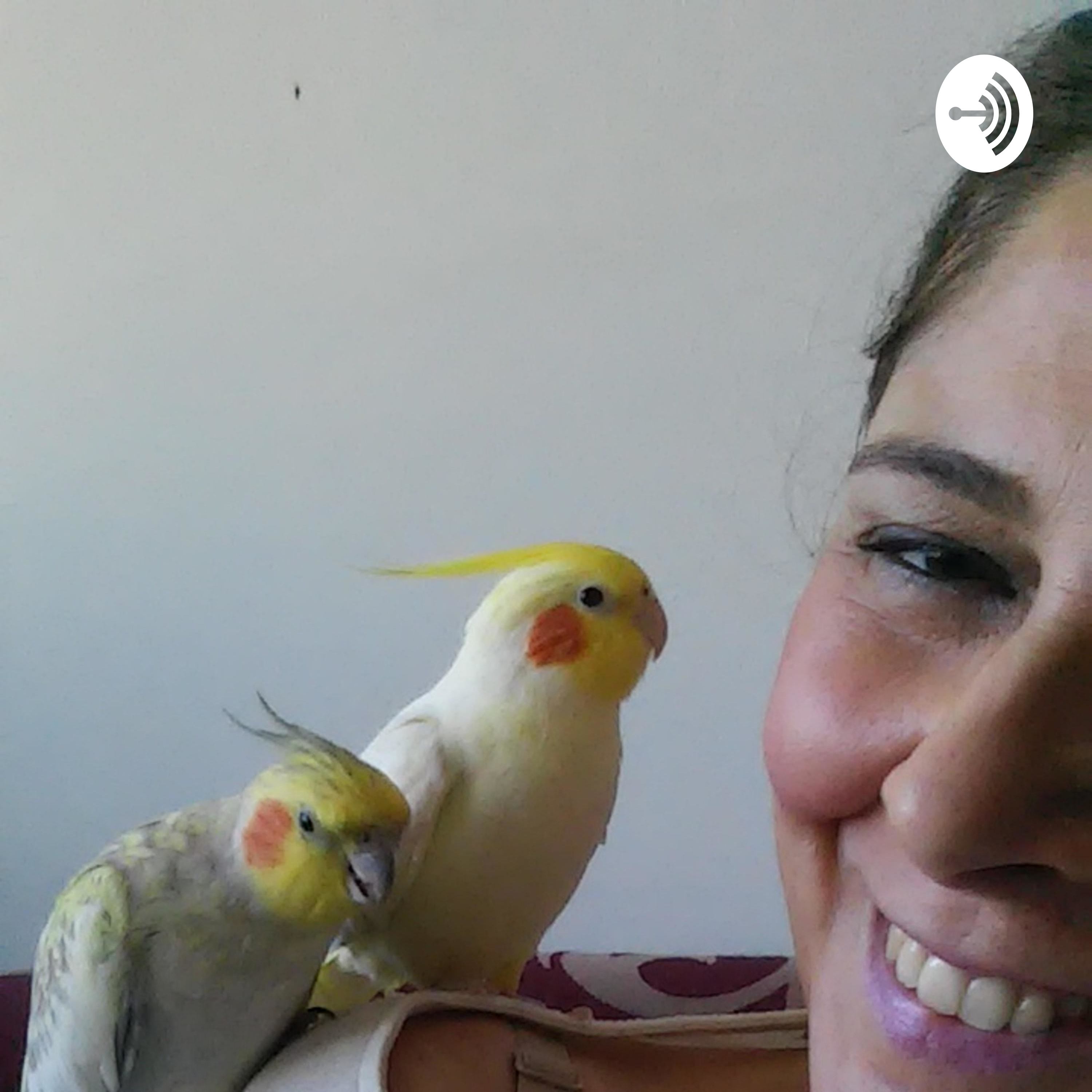 Vem pra cá... que tem história no ar!