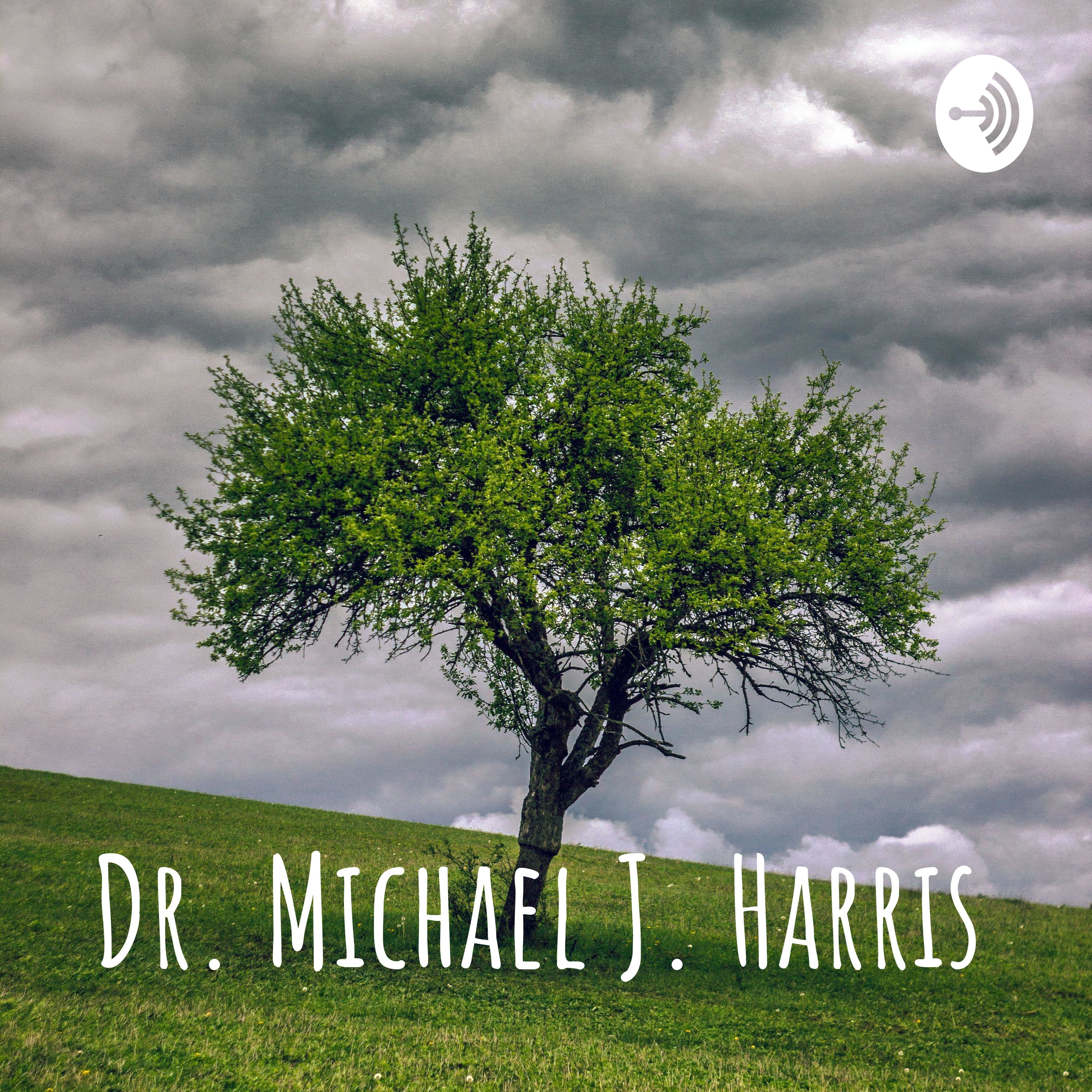 In Search of Self and Soul/ drmichaeljharris.com