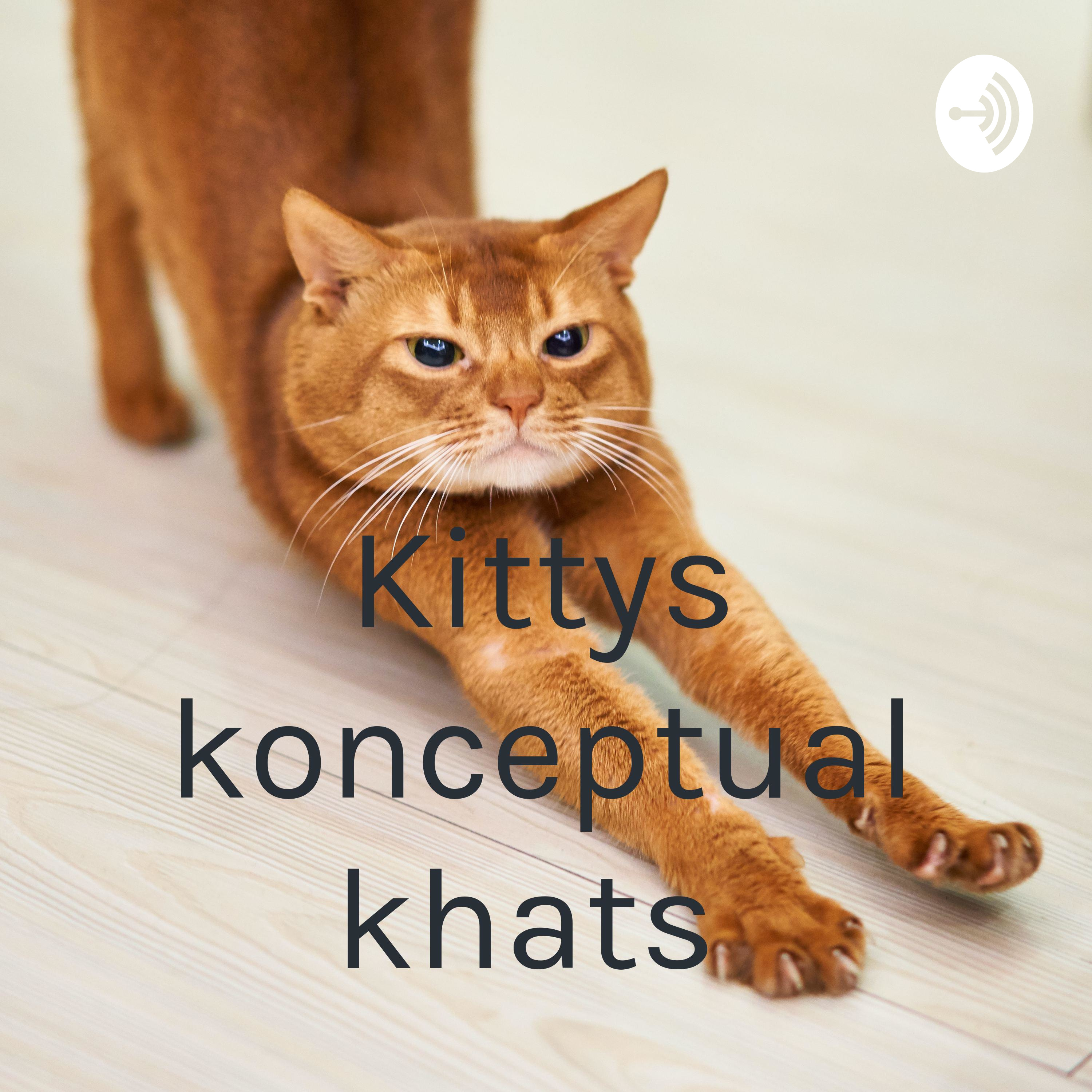 Kittys konceptual khats