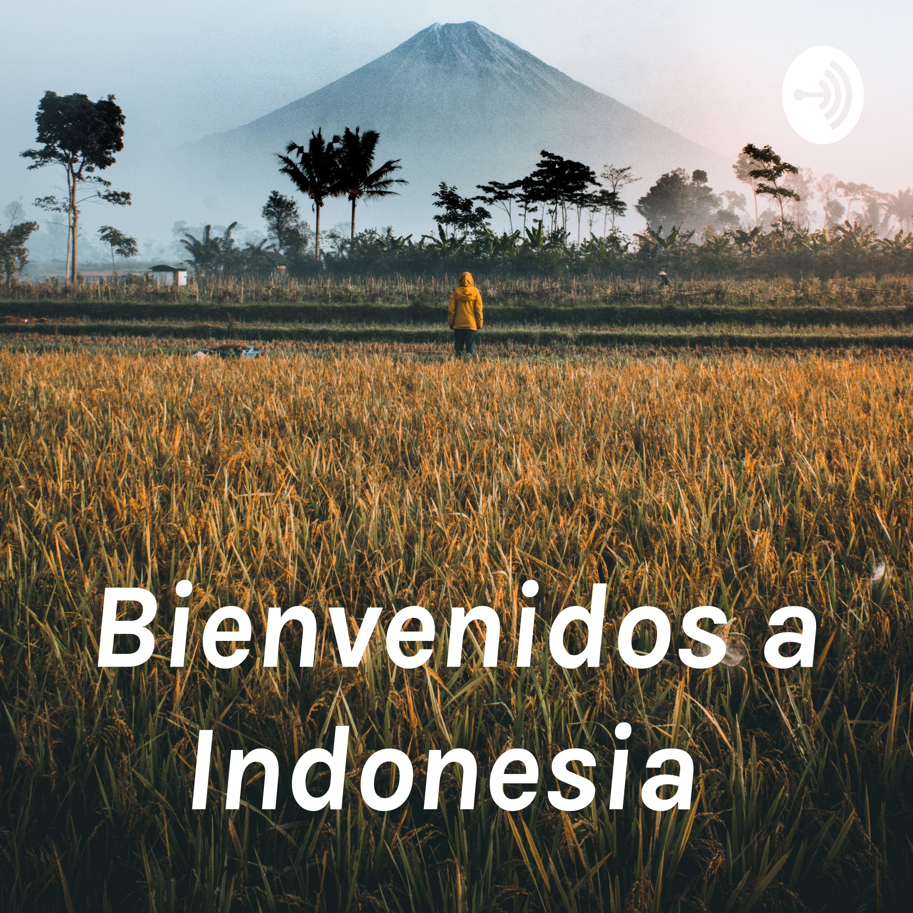Bienvenidos a Indonesia 