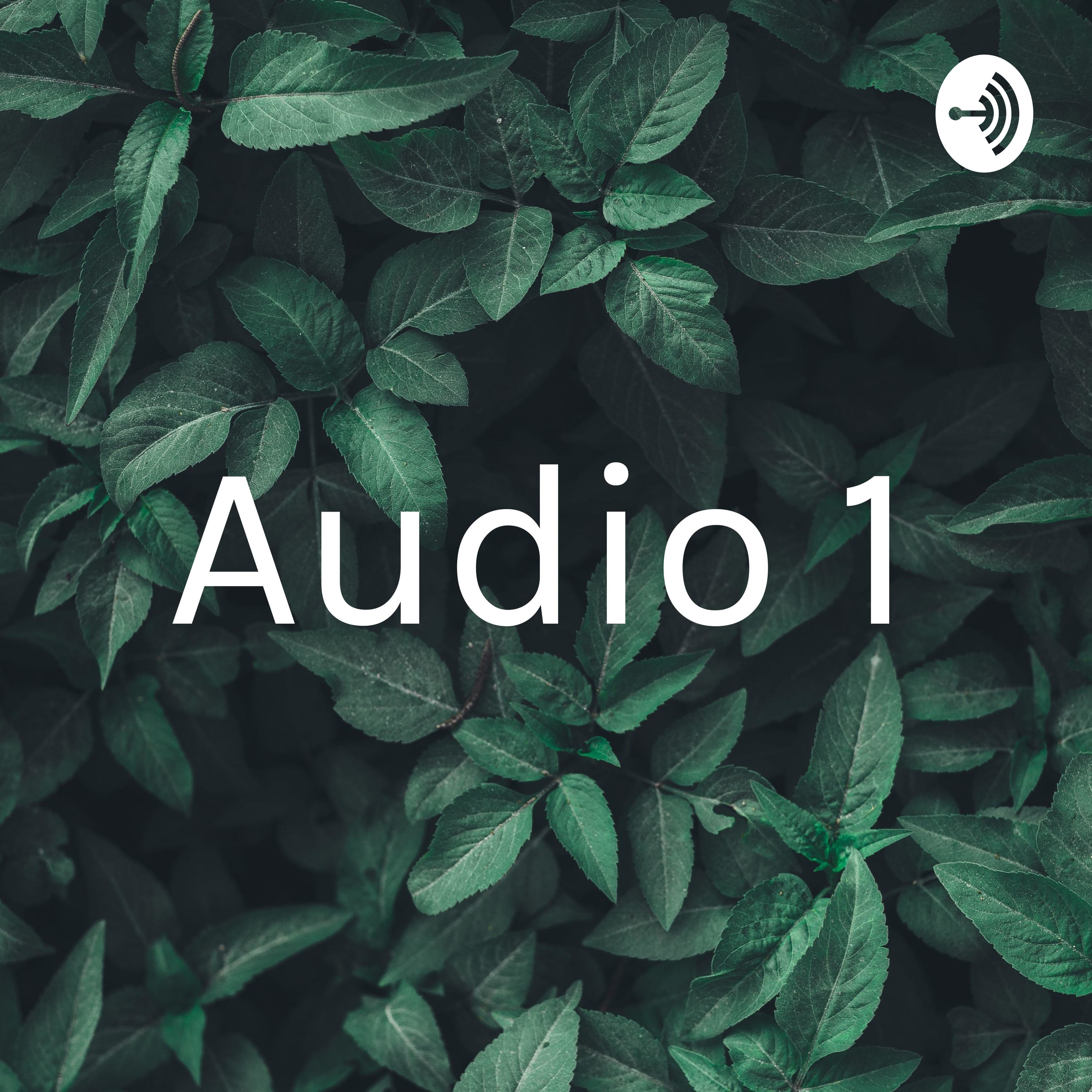 Audio 1