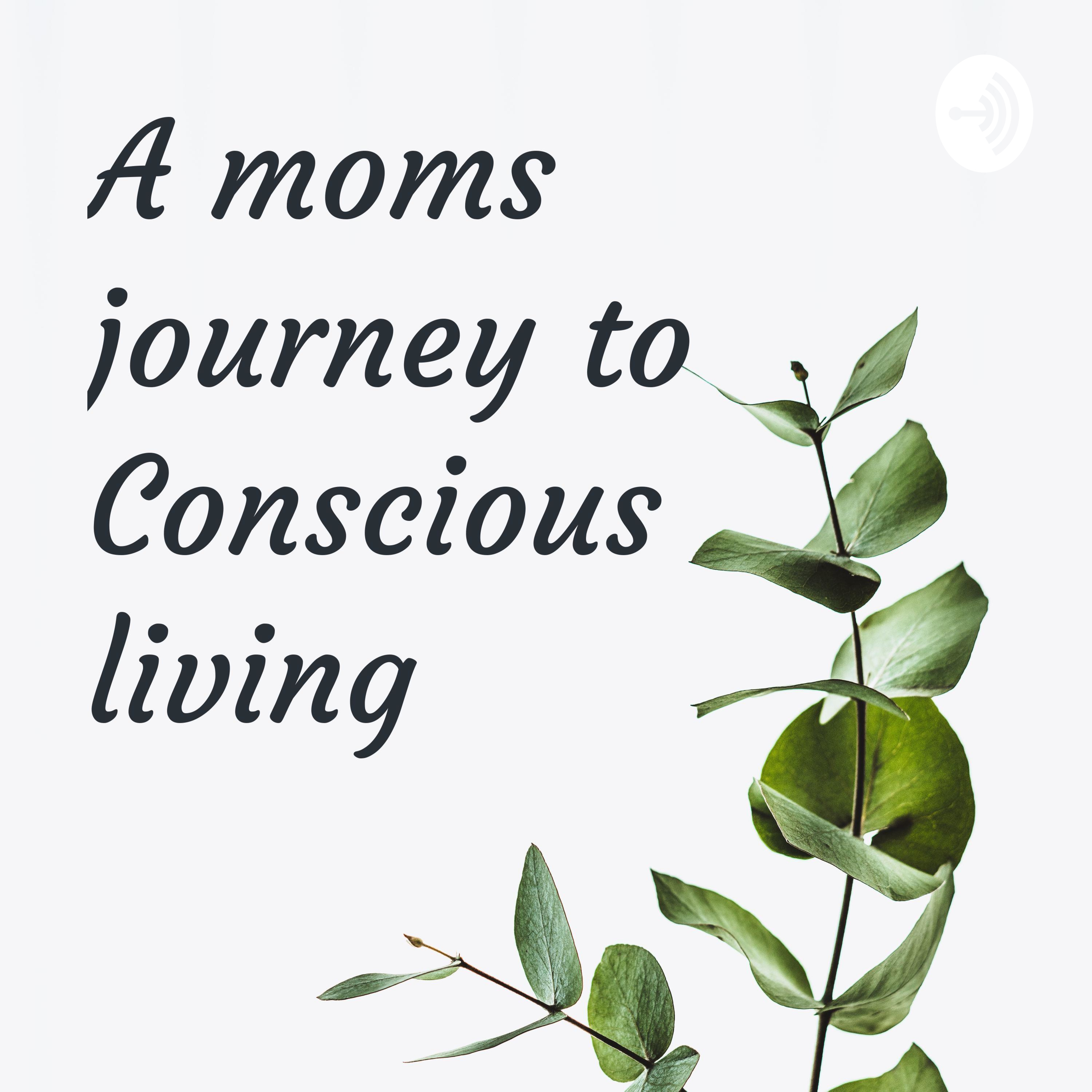 A moms journey to Conscious living 