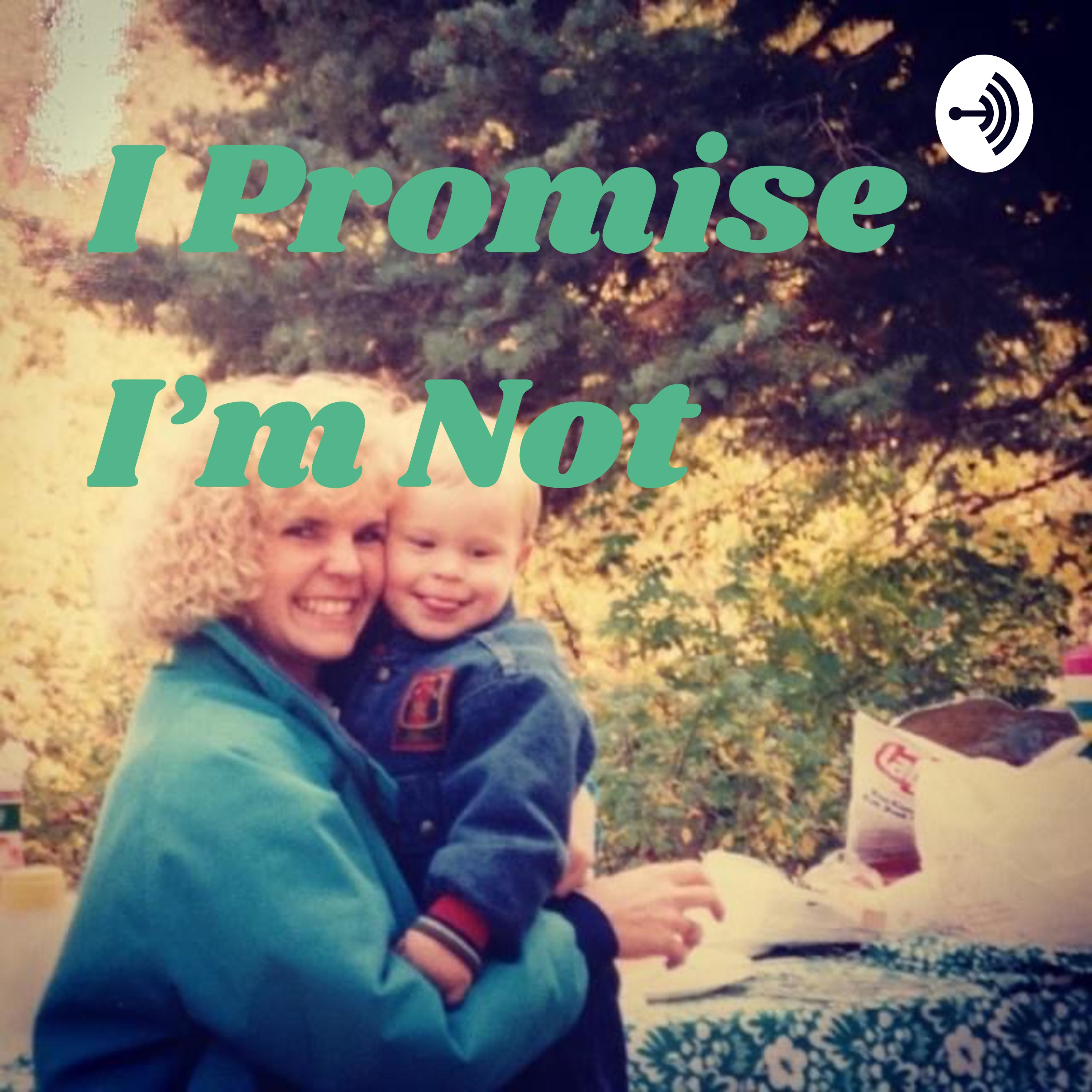 I Promise I'm Not