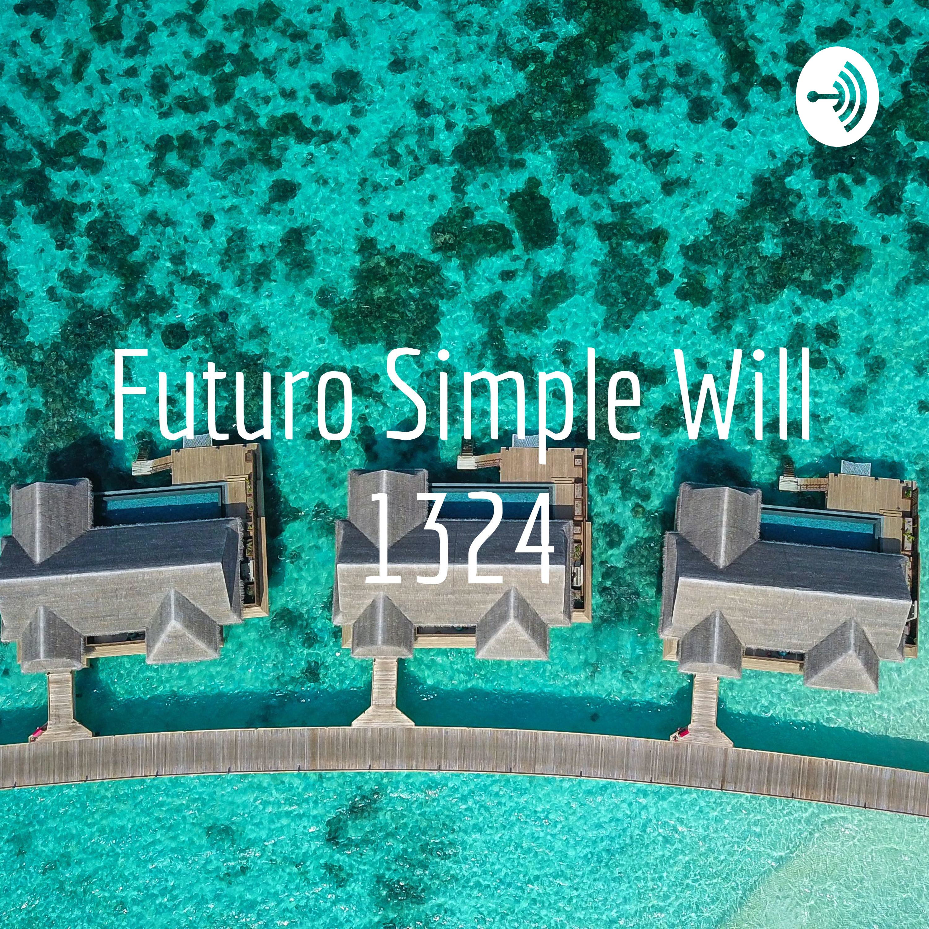 Futuro Simple Will 1324