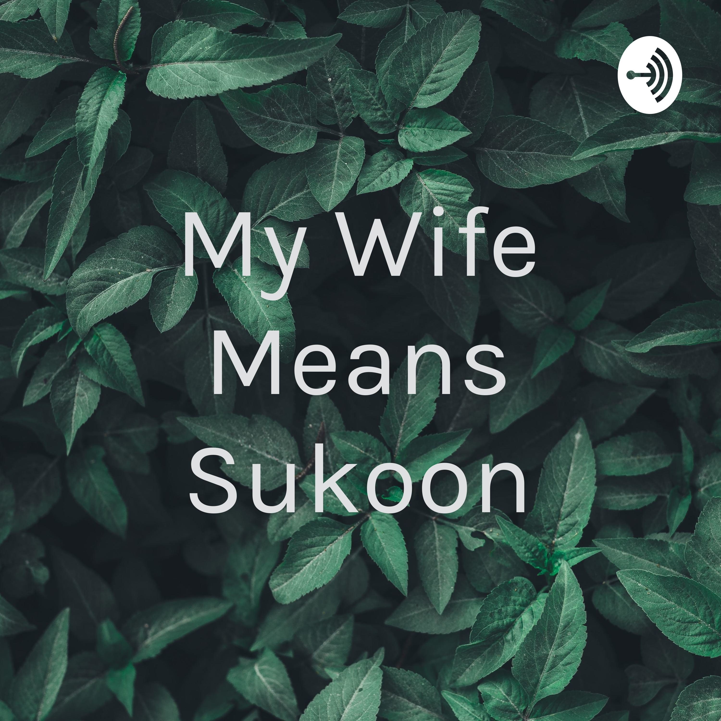 My Wife Means Sukoon