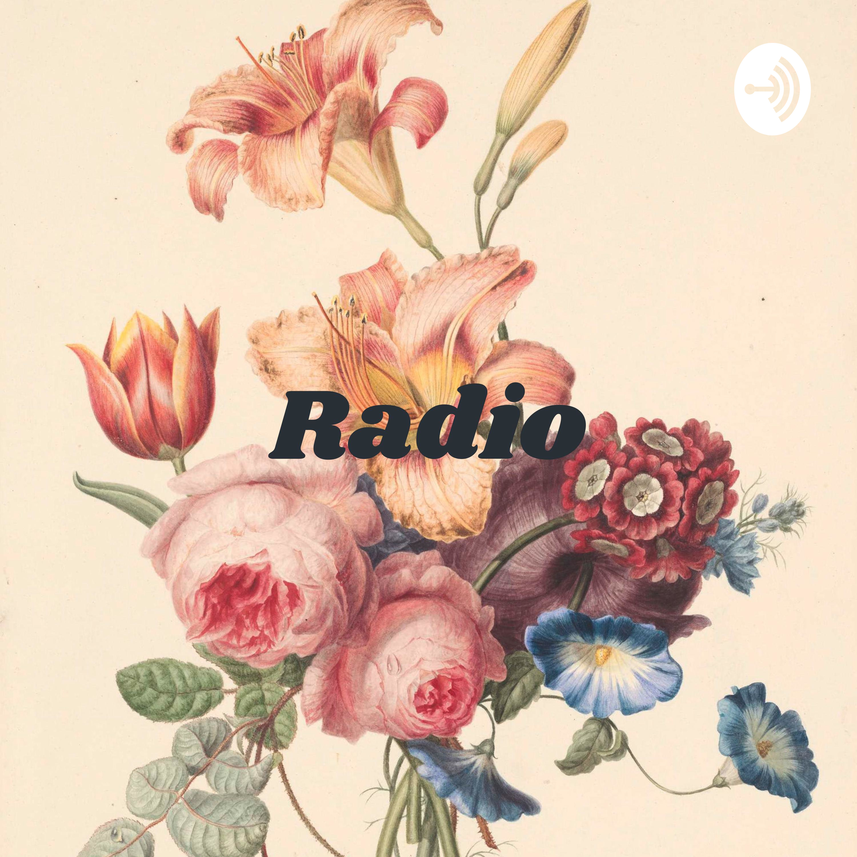 Radio: Reseña Desde La Observación Docente