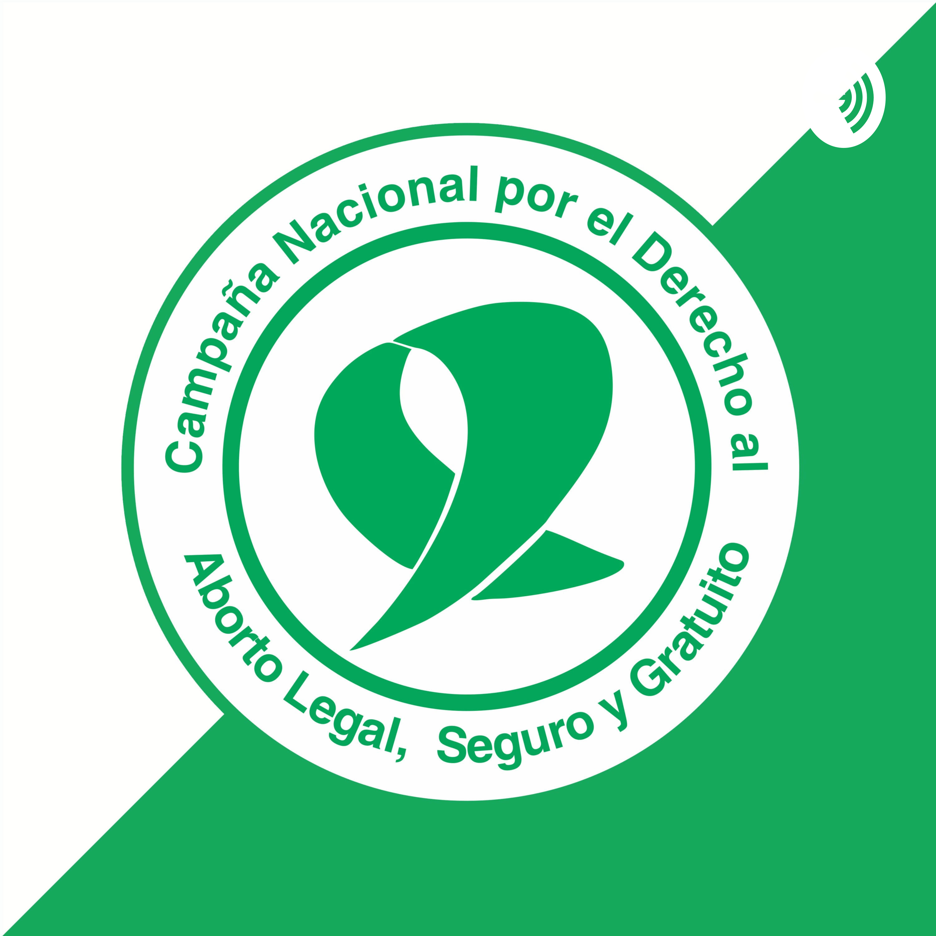 Campaña Nacional por el Derecho al Aborto Legal, Seguro y Gratuito