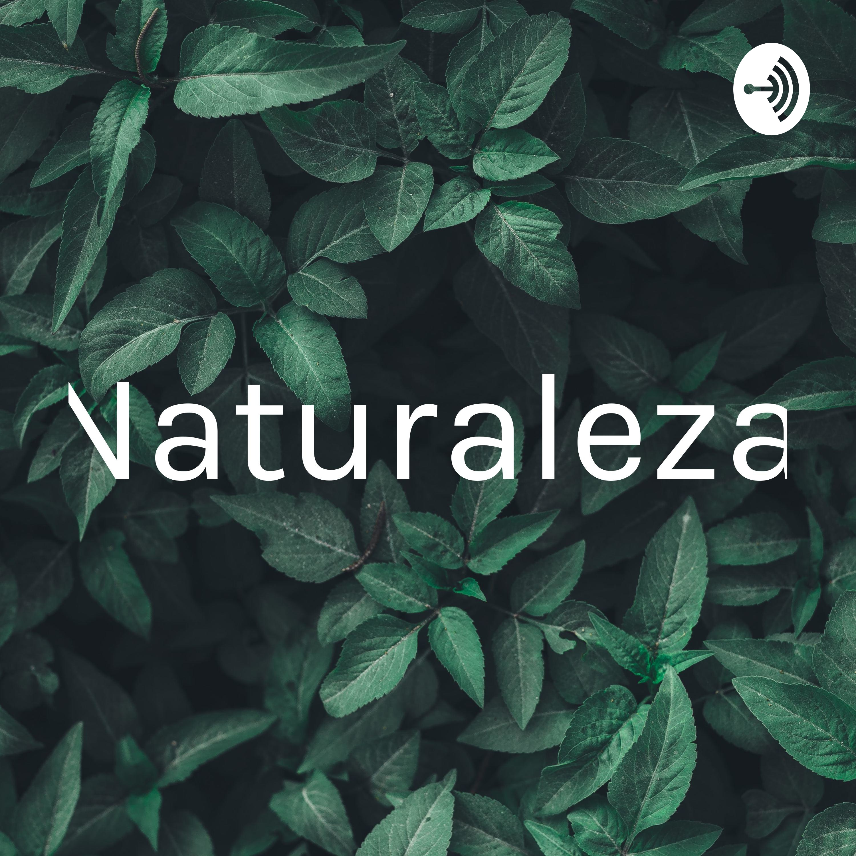 Naturaleza