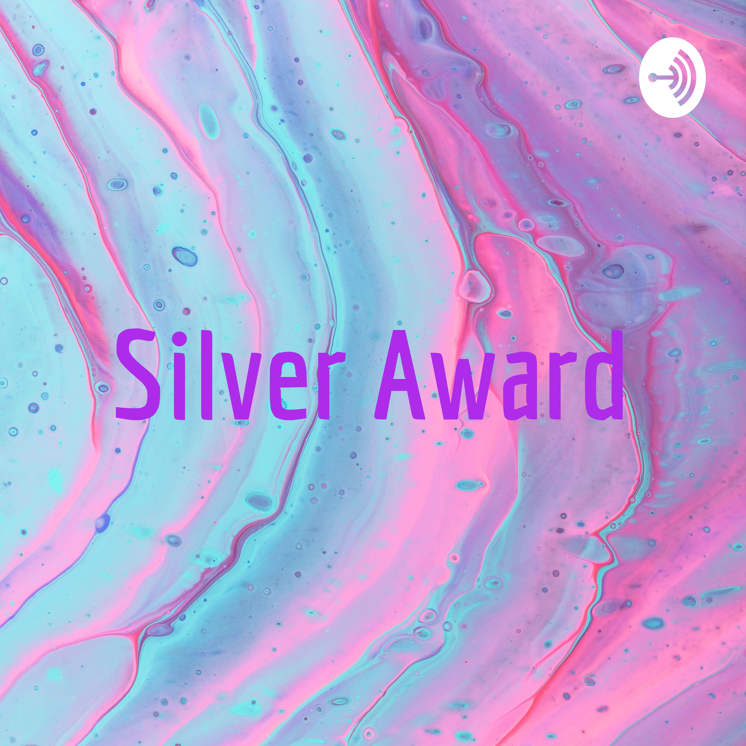 Silver Award!