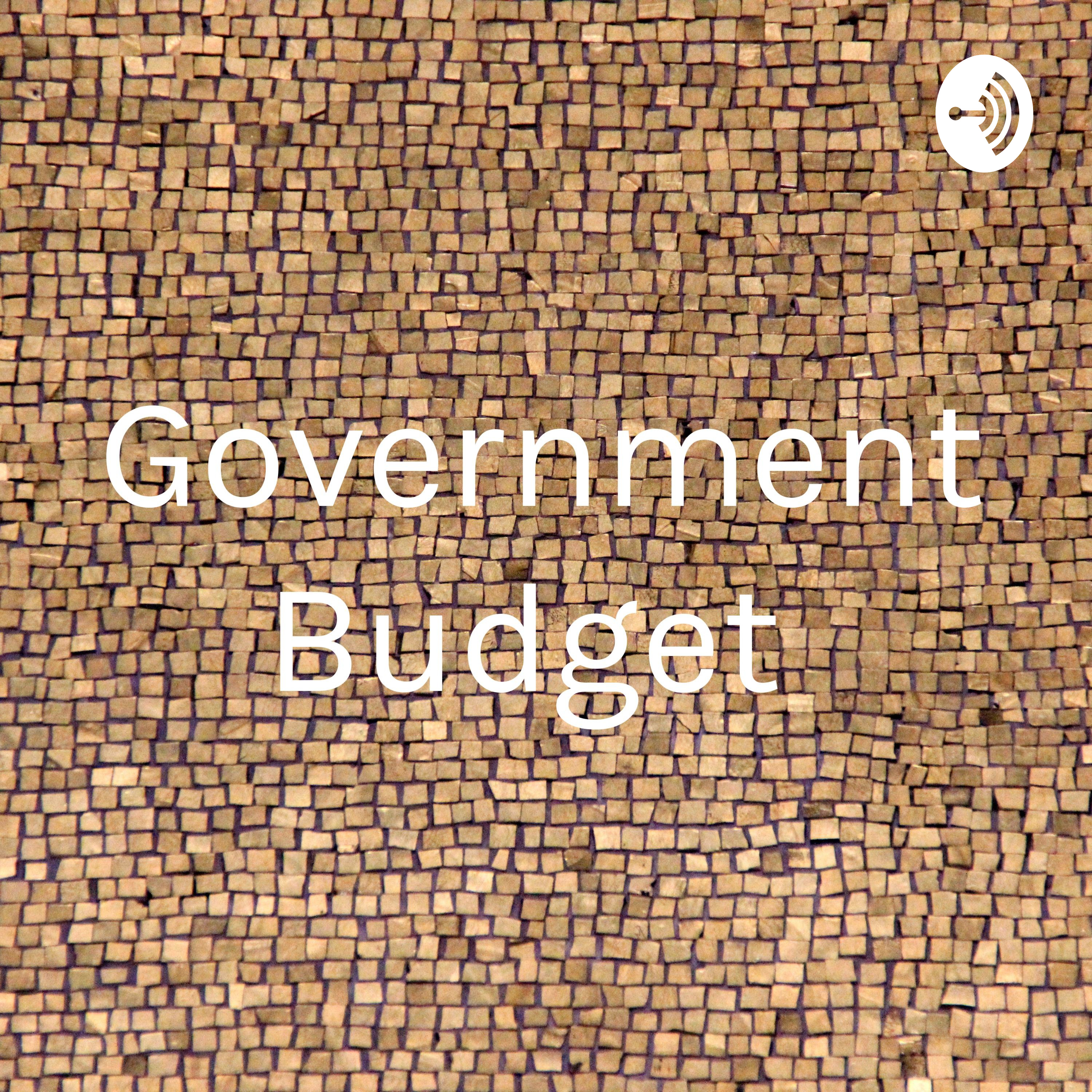Government Budget 