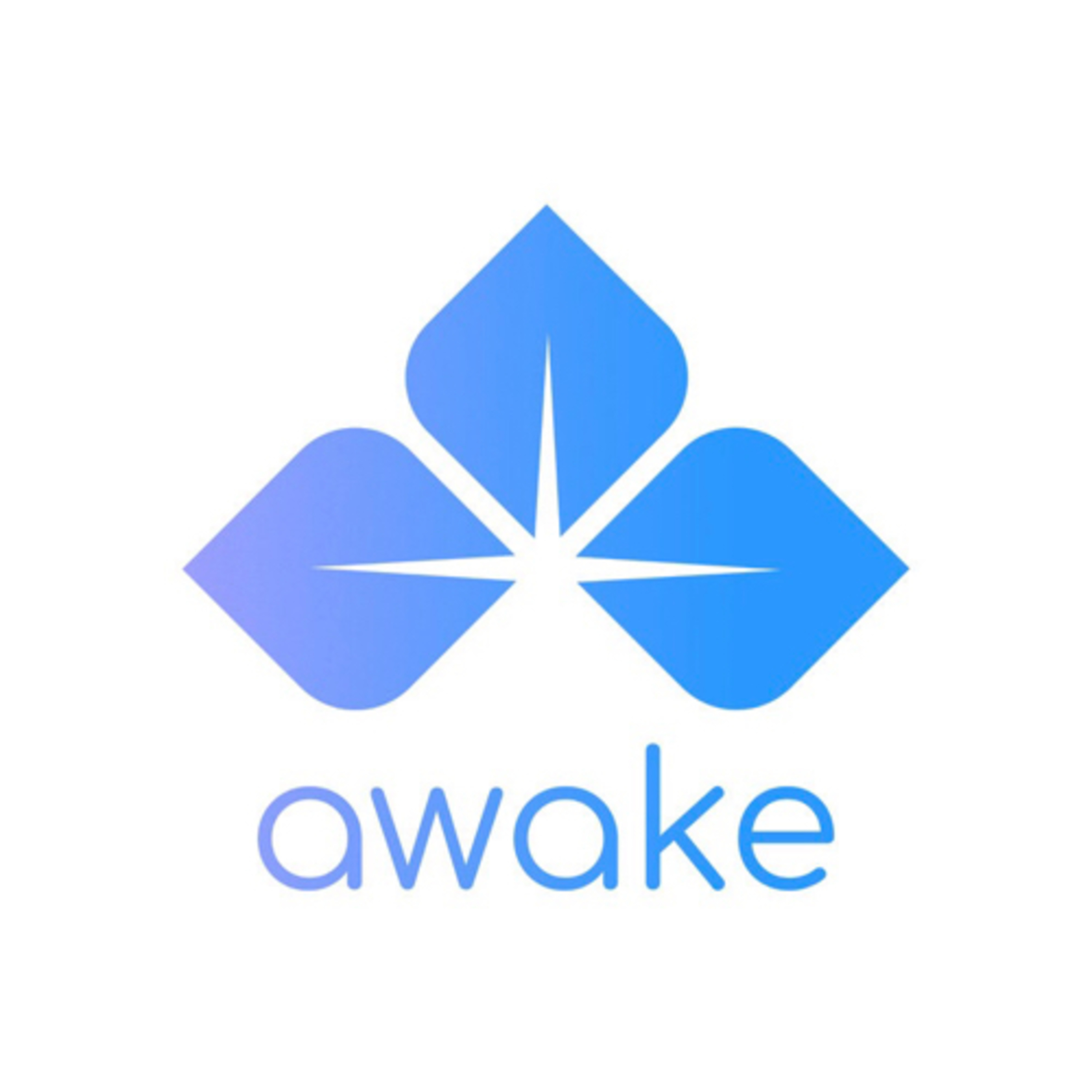 マインドフルネス瞑想【Awake MINDFULNESS】