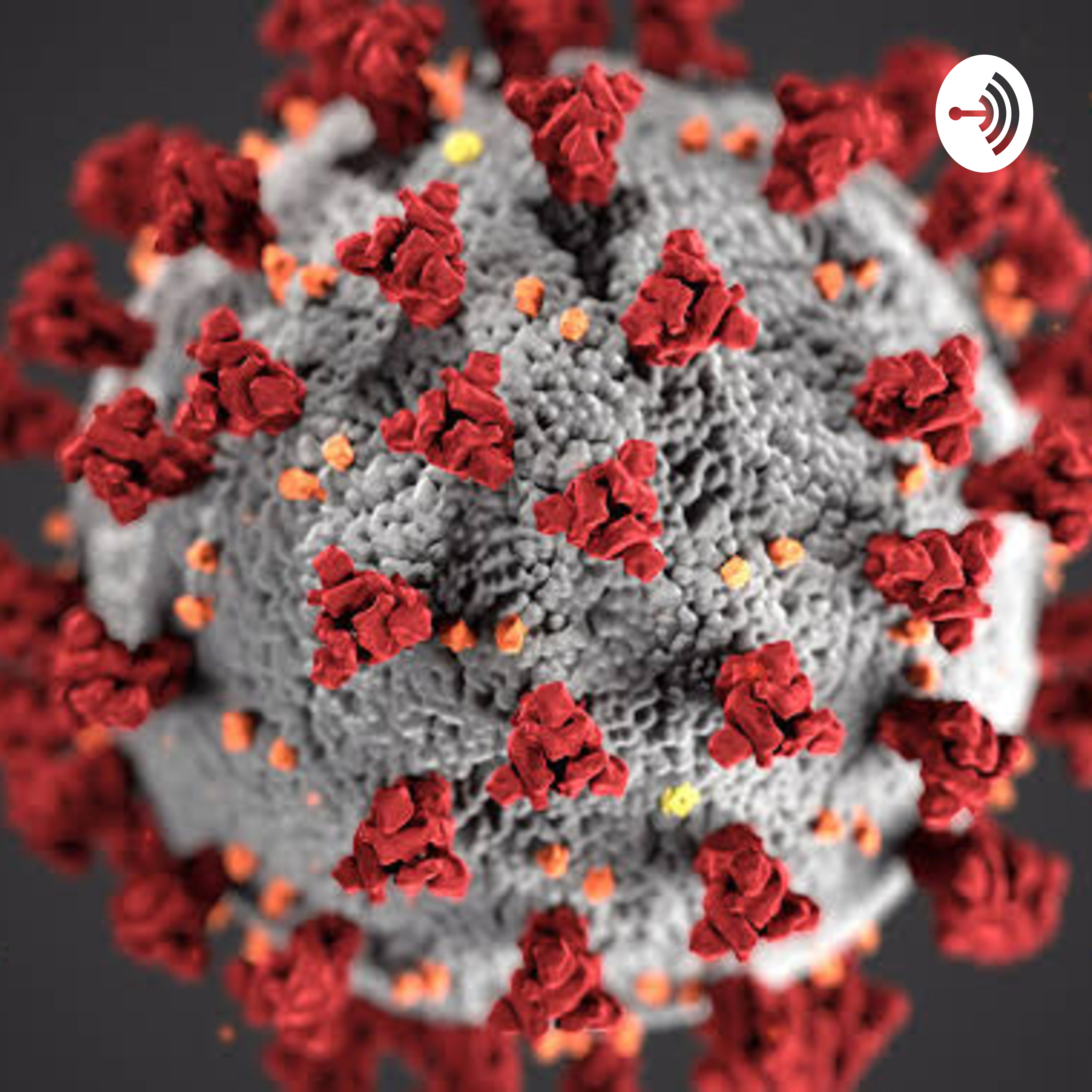 U.S.A Vs. Spain COVID-19 stimulus package