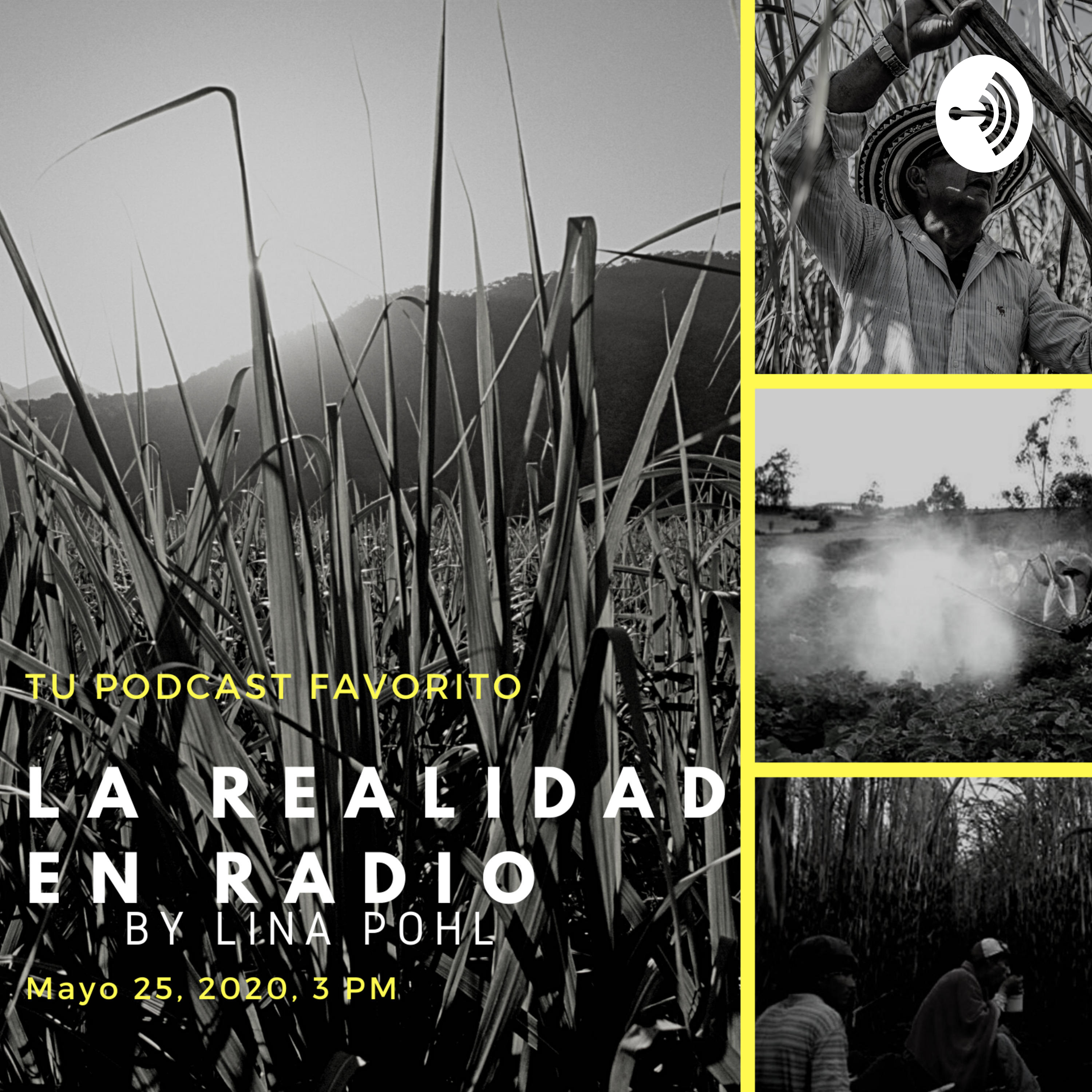¿Monocultivo en El Salvador? podcast artwork