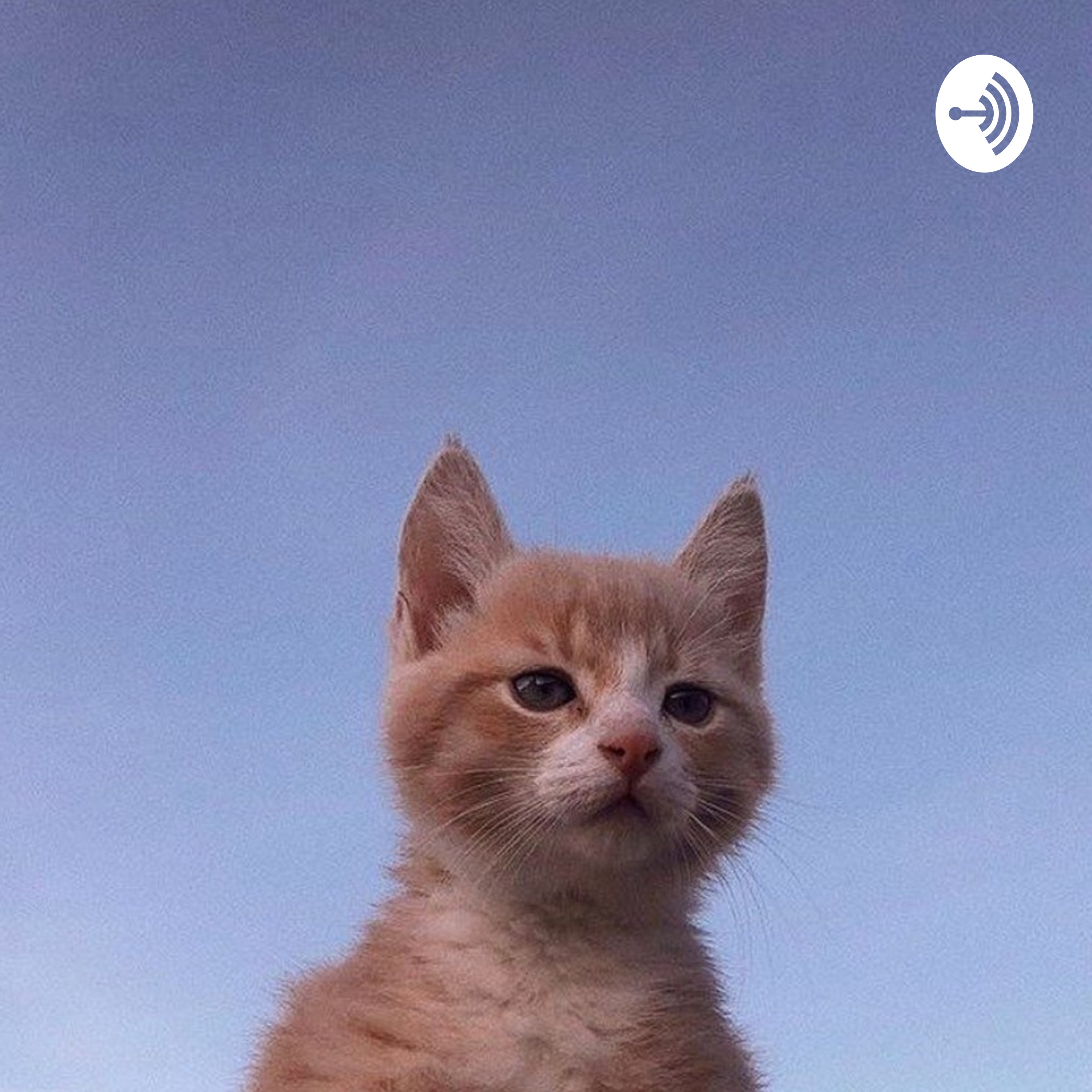 Ragazzi Di Provincia