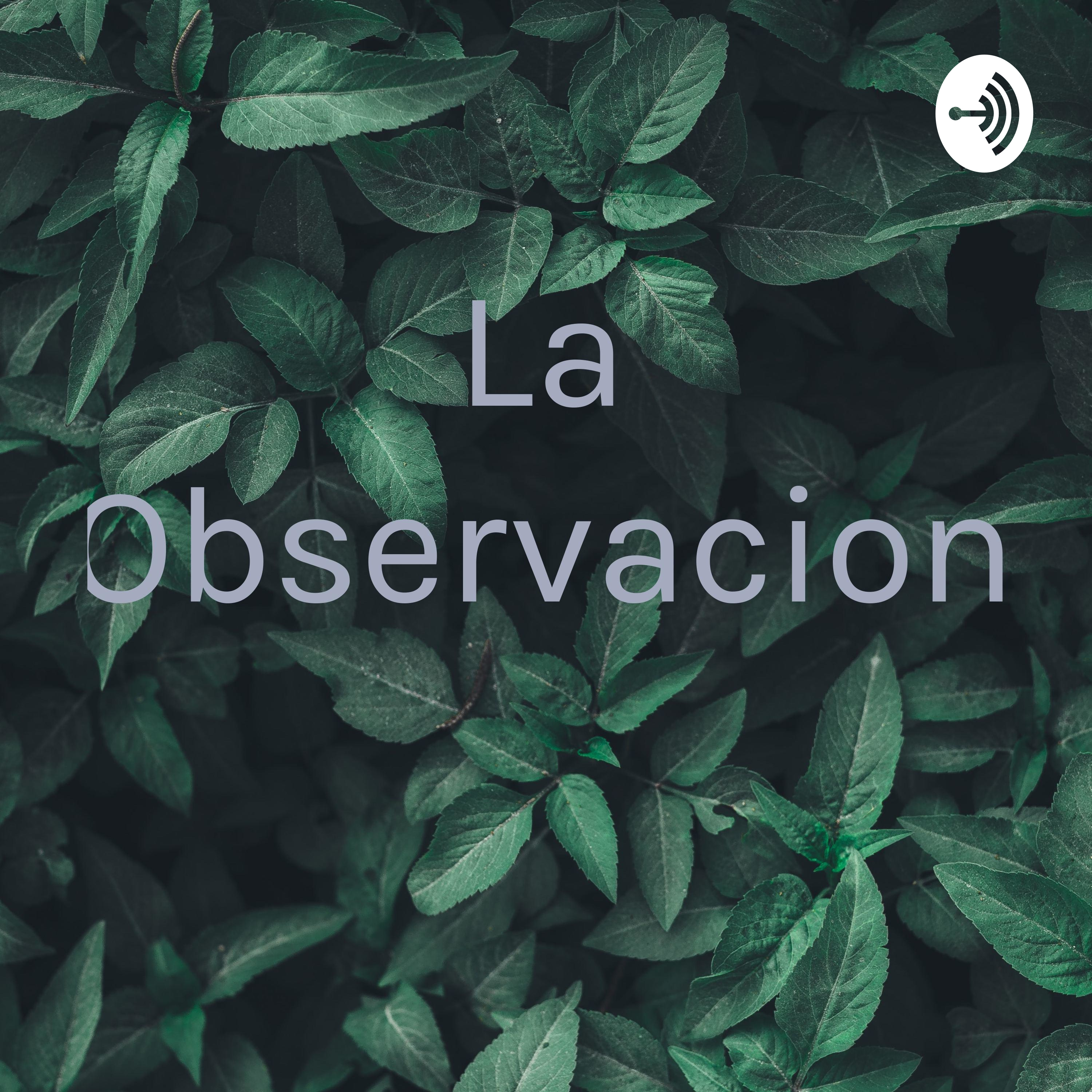 La Observacion