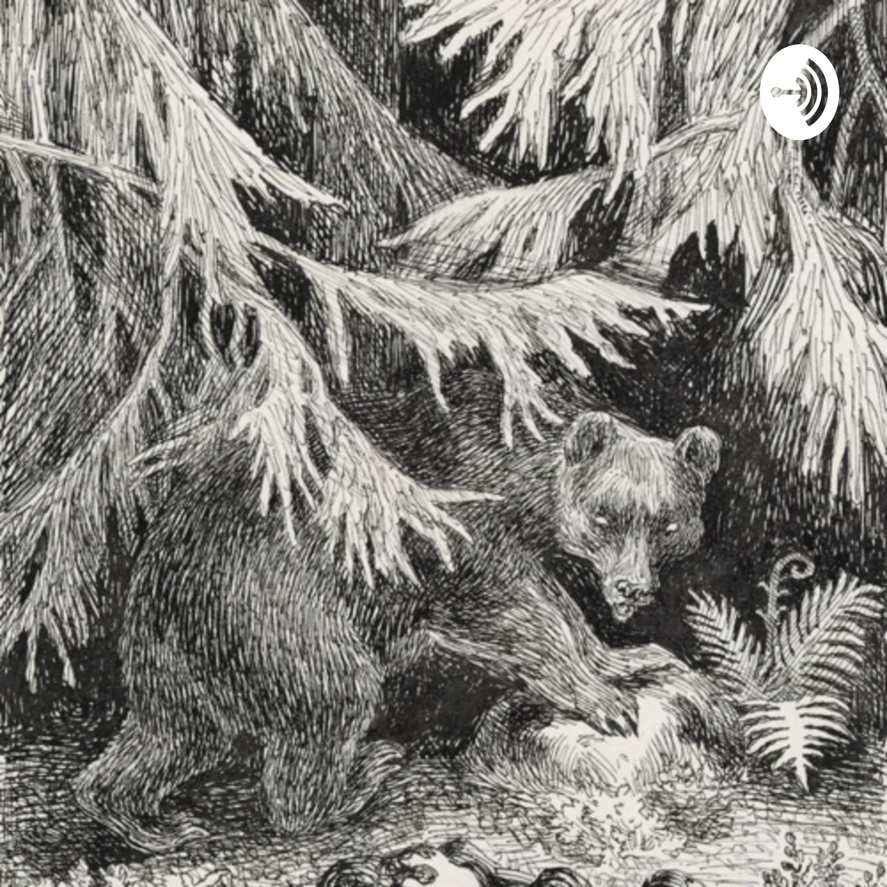 En sommernatt på Krogskogen