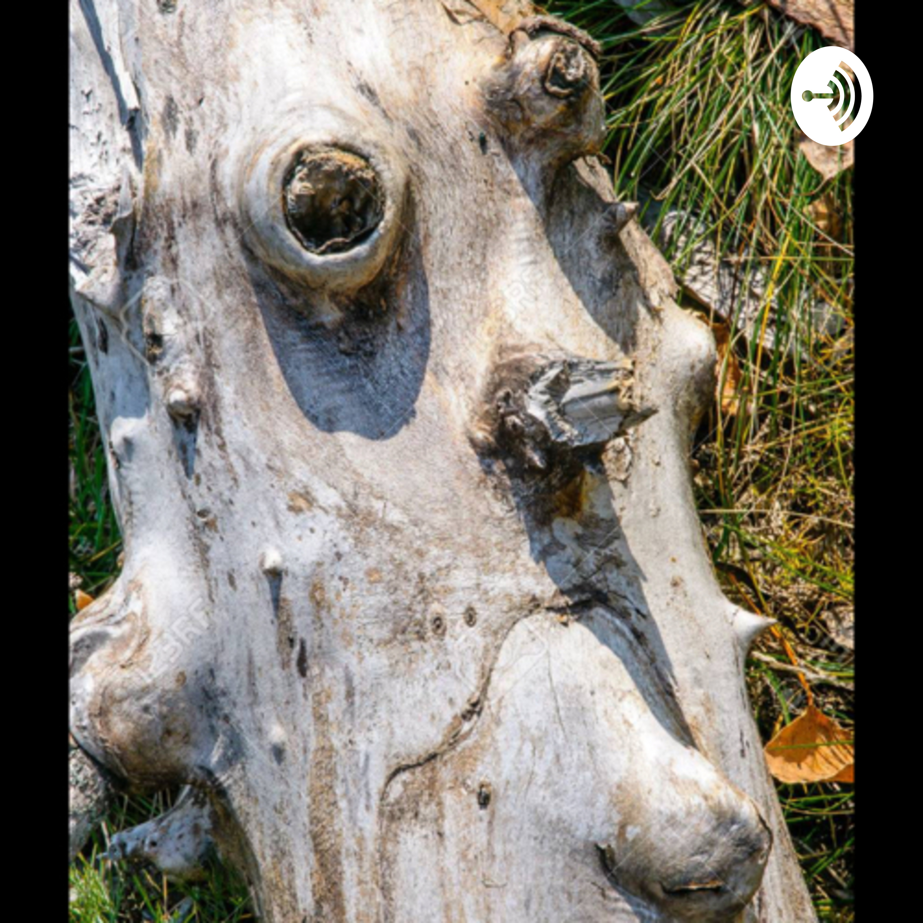 Pareidolia Edgar De San Nicolas 