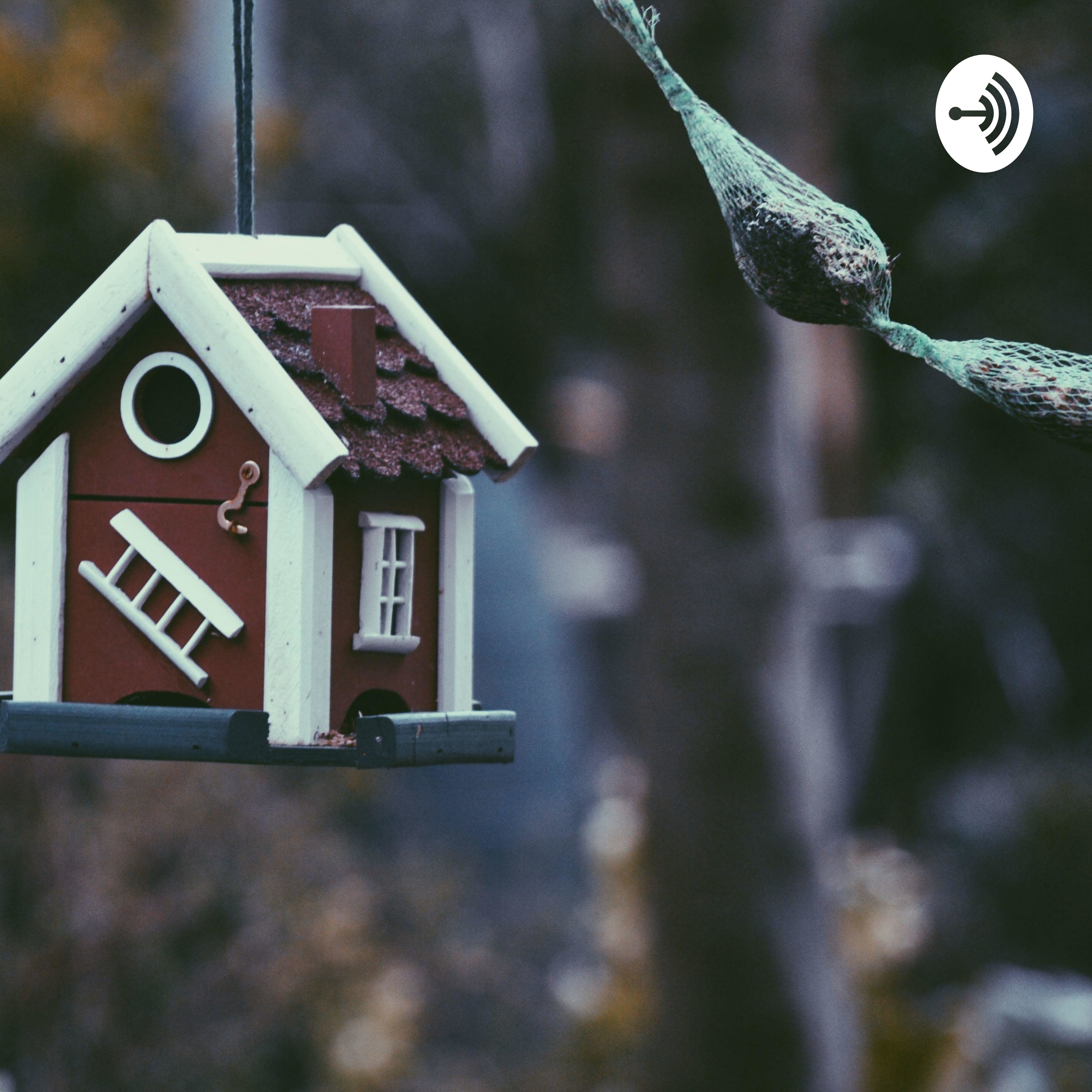 Birdhouse Podcast podcast artwork