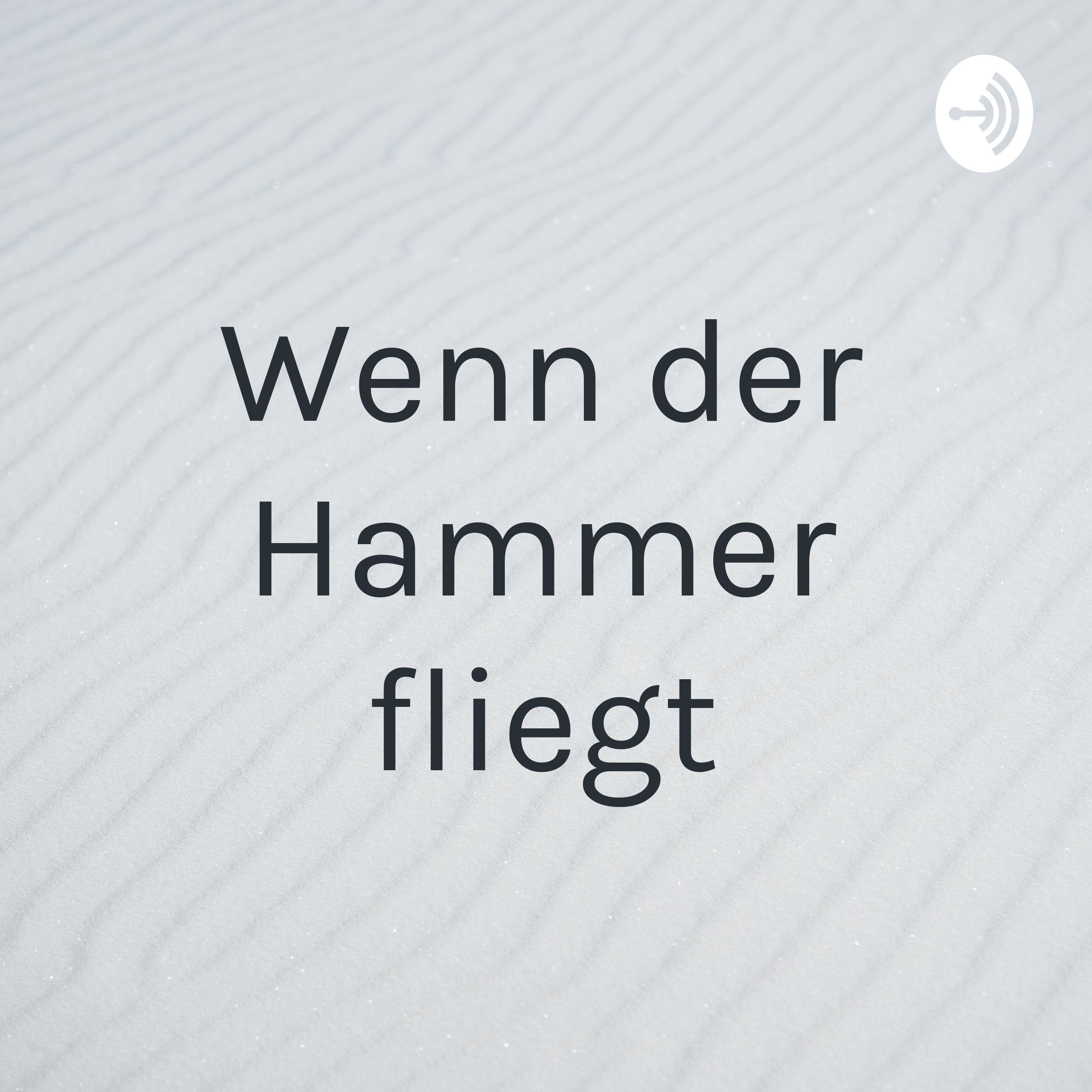 Wenn der Hammer fliegt
