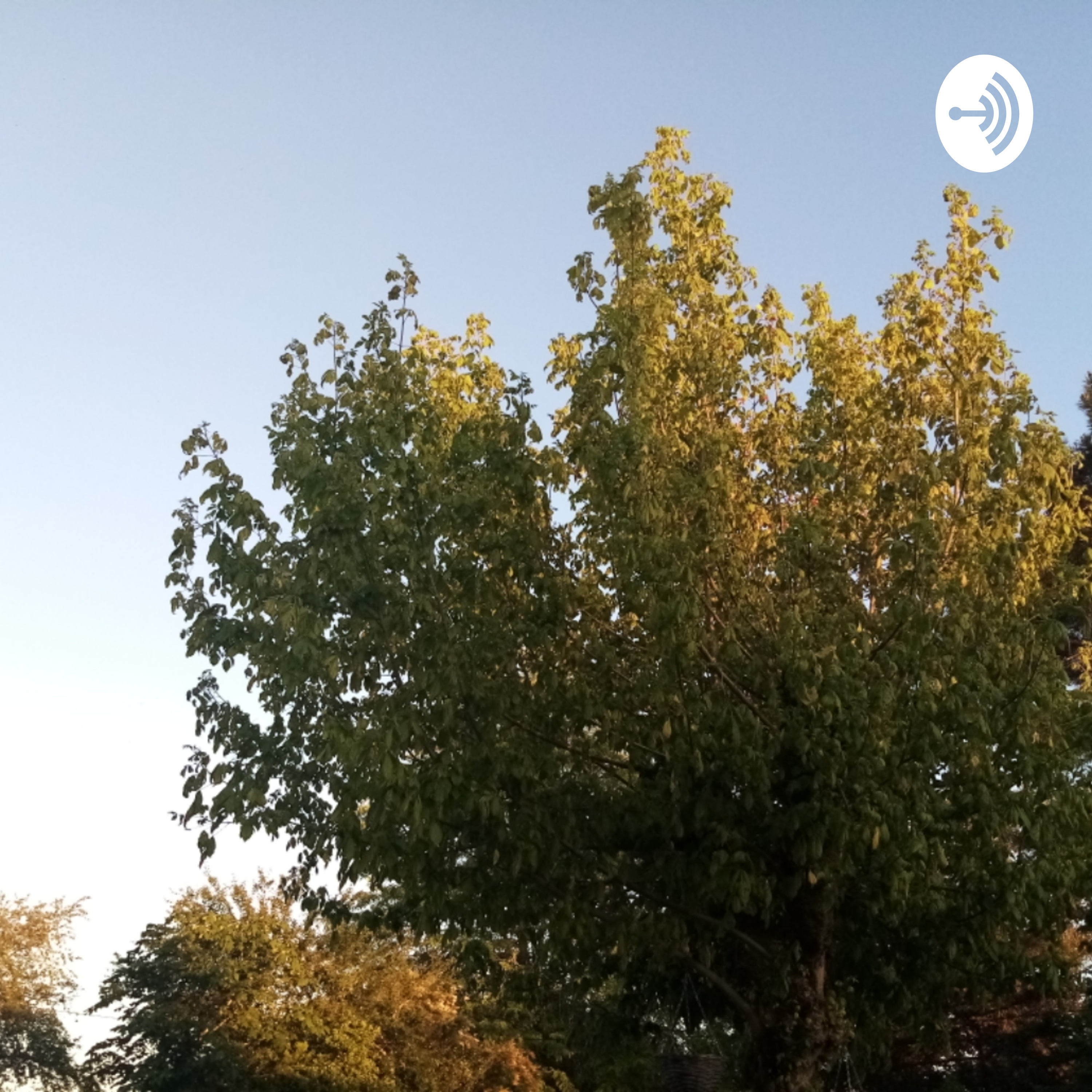 Pour Toi Pour Toujours 