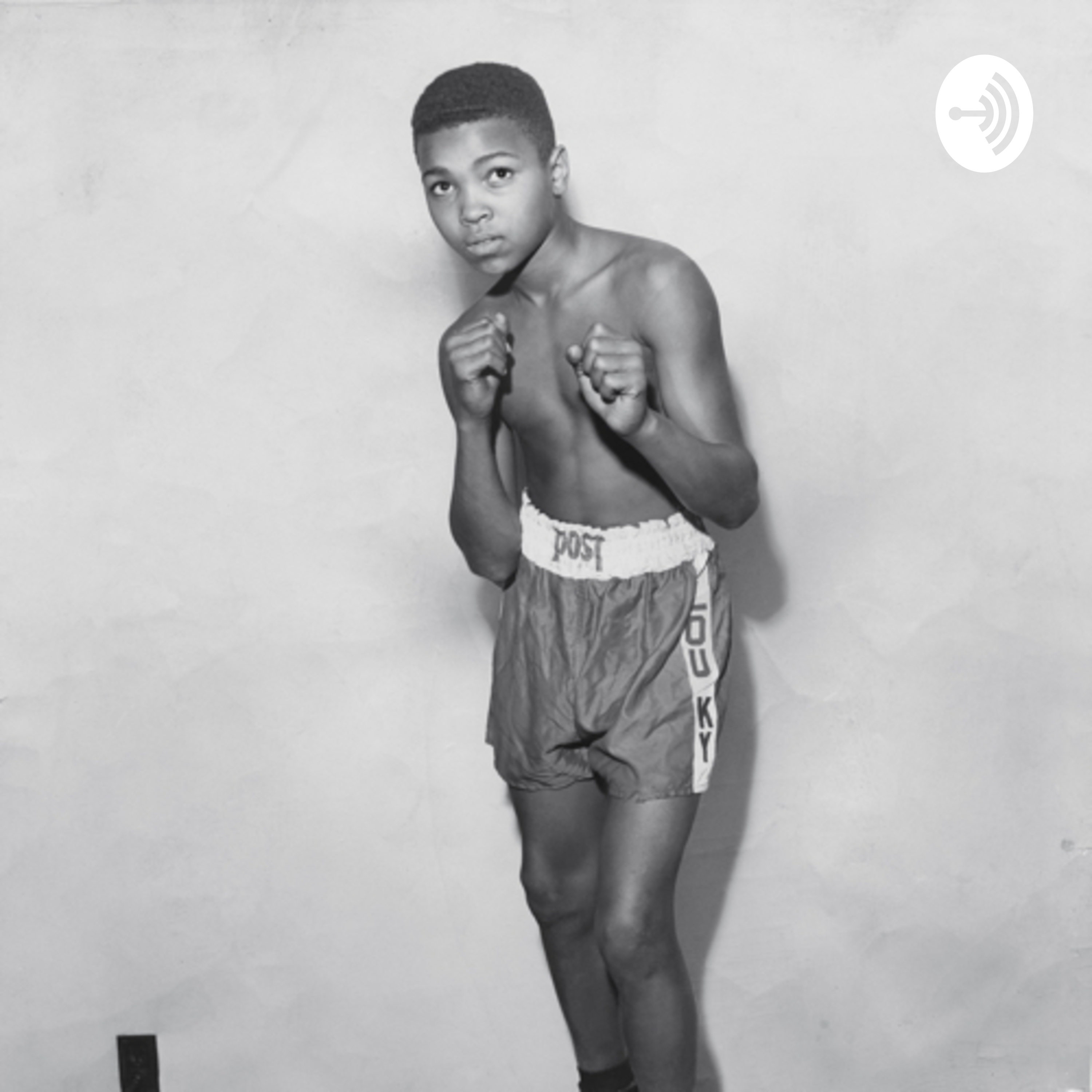 Designated Report Boxing Podcast