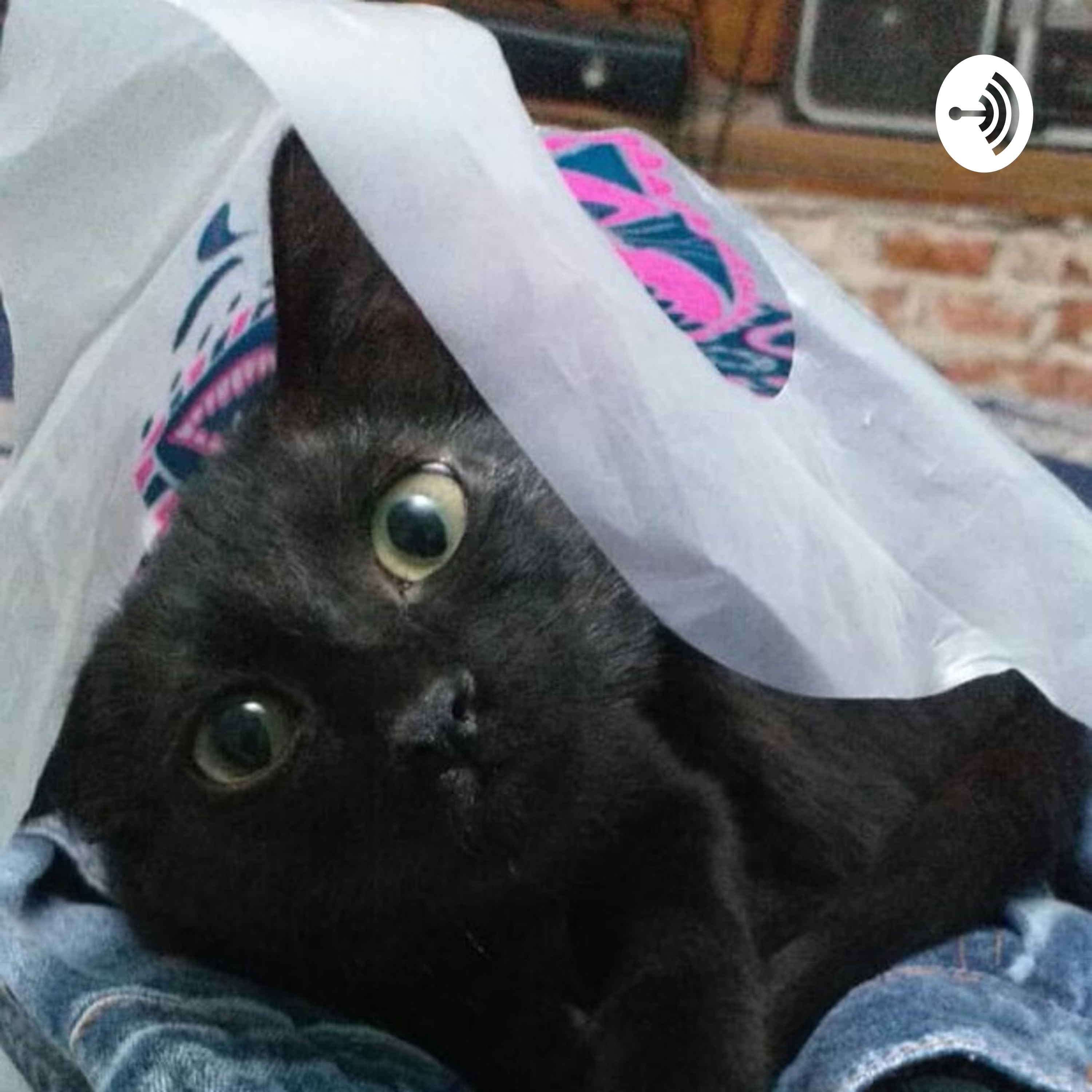 Tincho Y vos