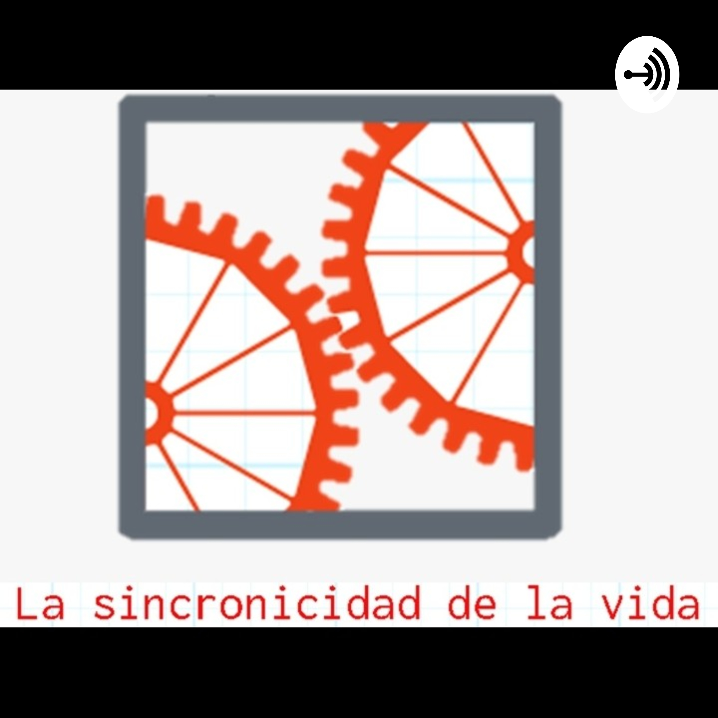 La Sincronicidad de la vida