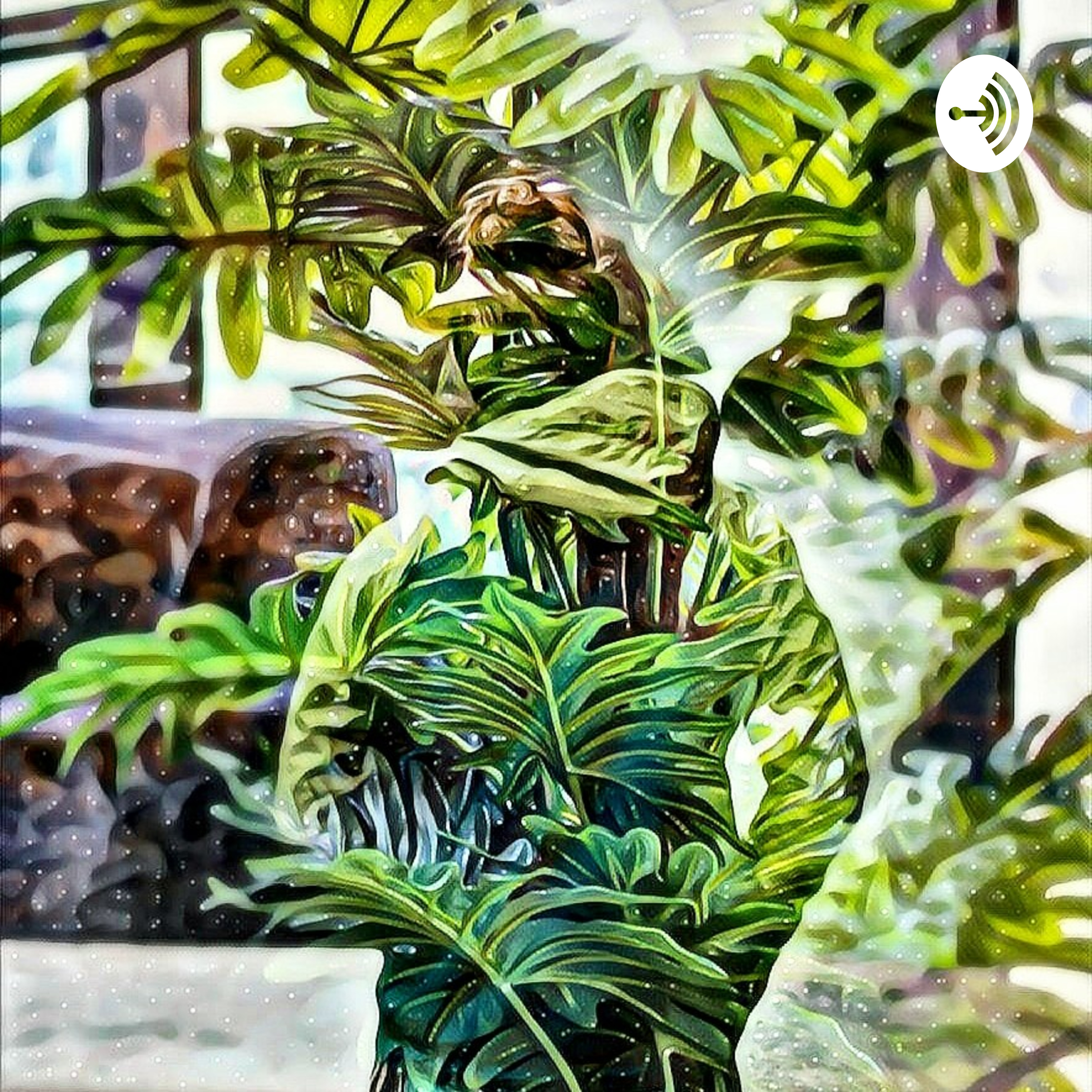 The Connection Direction