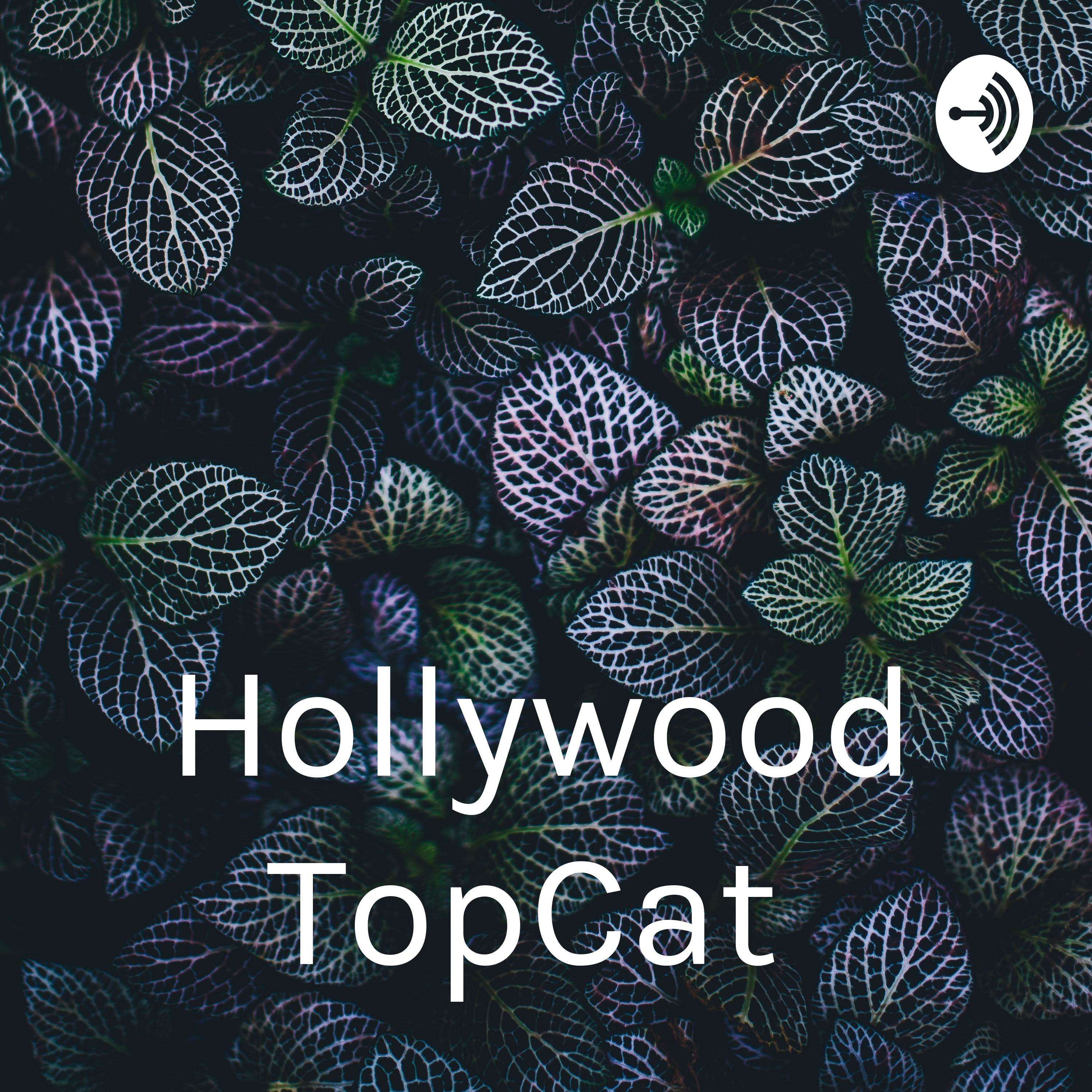 Hollywood TopCat 