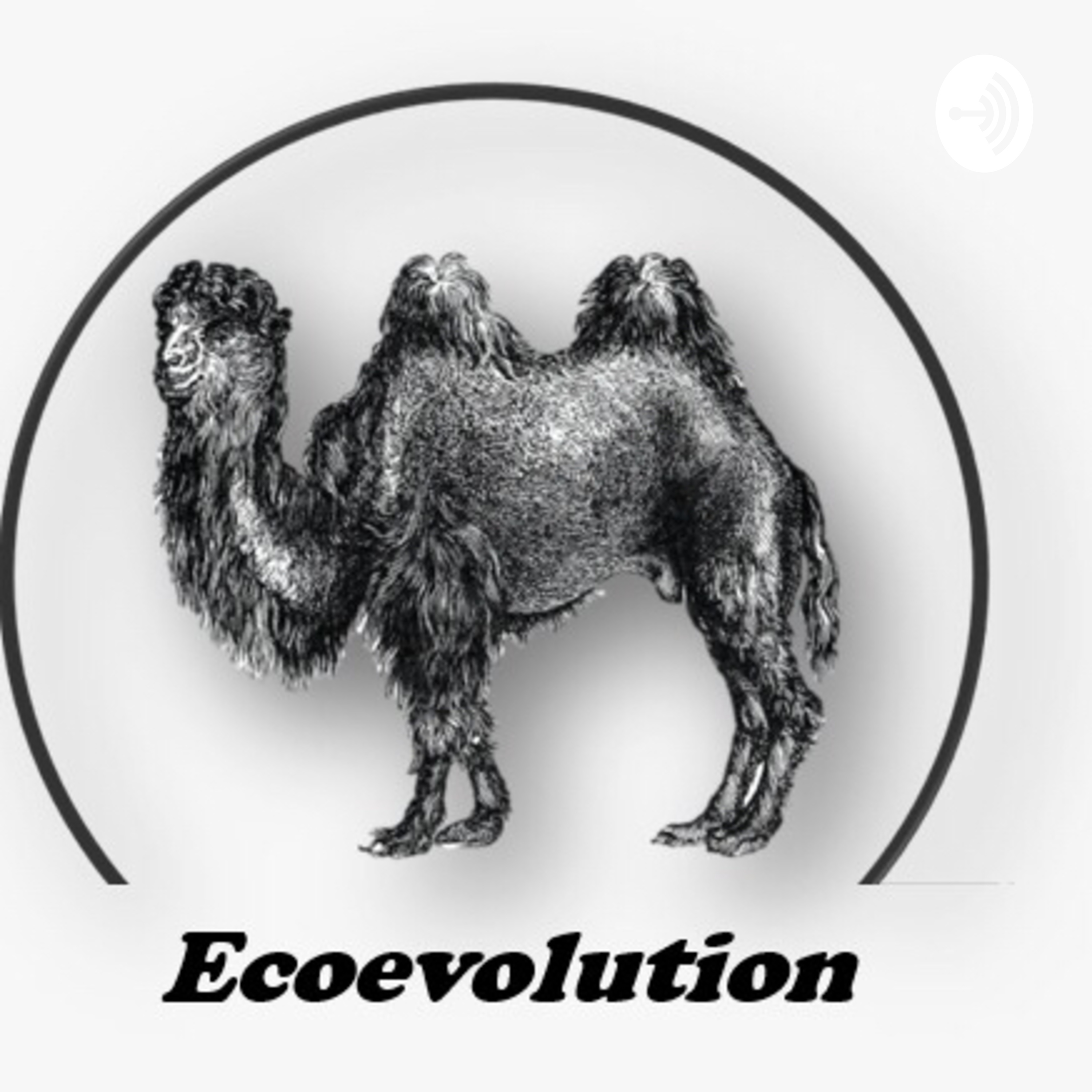 Ecoevolution