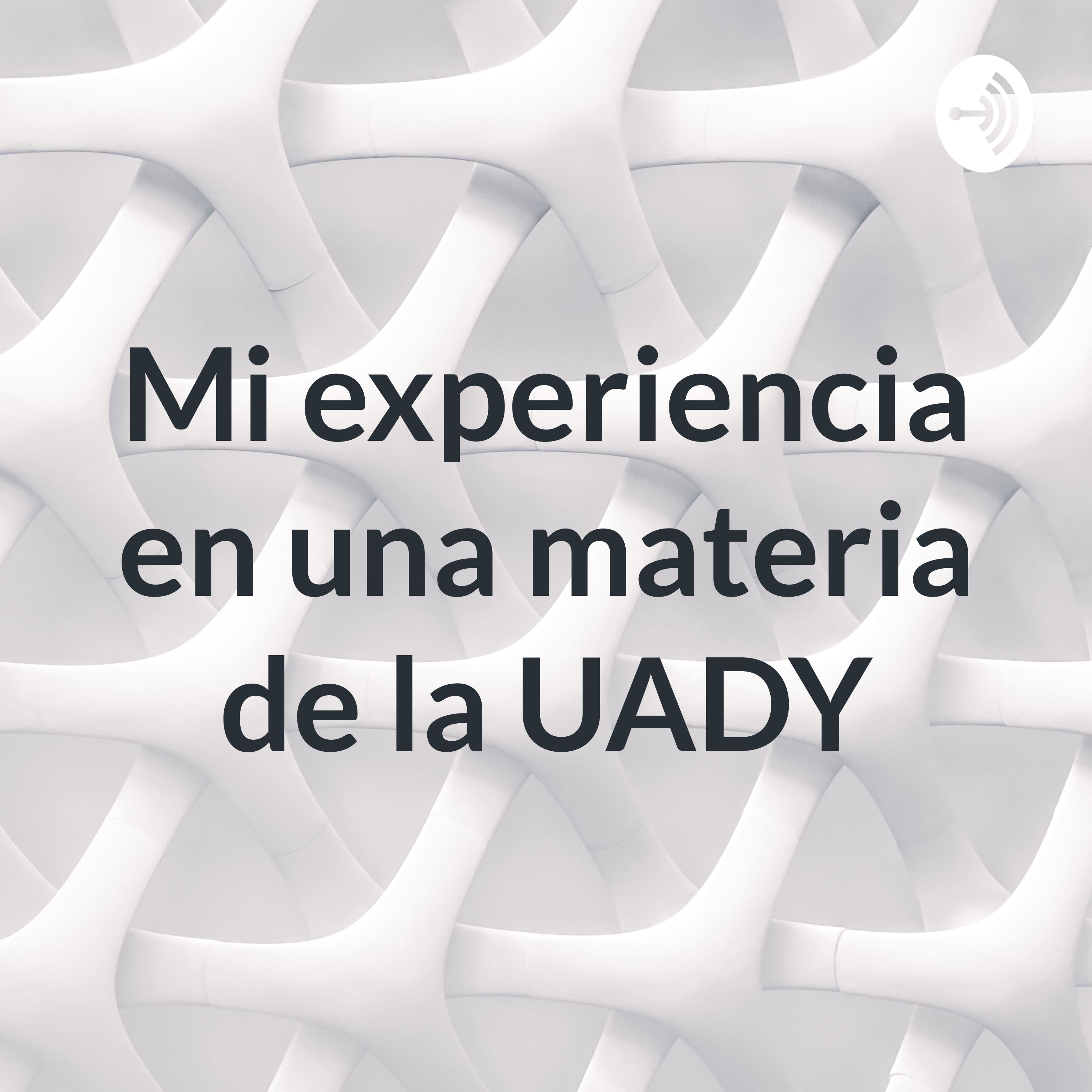 Mi experiencia en una materia de la UADY‼️🏧