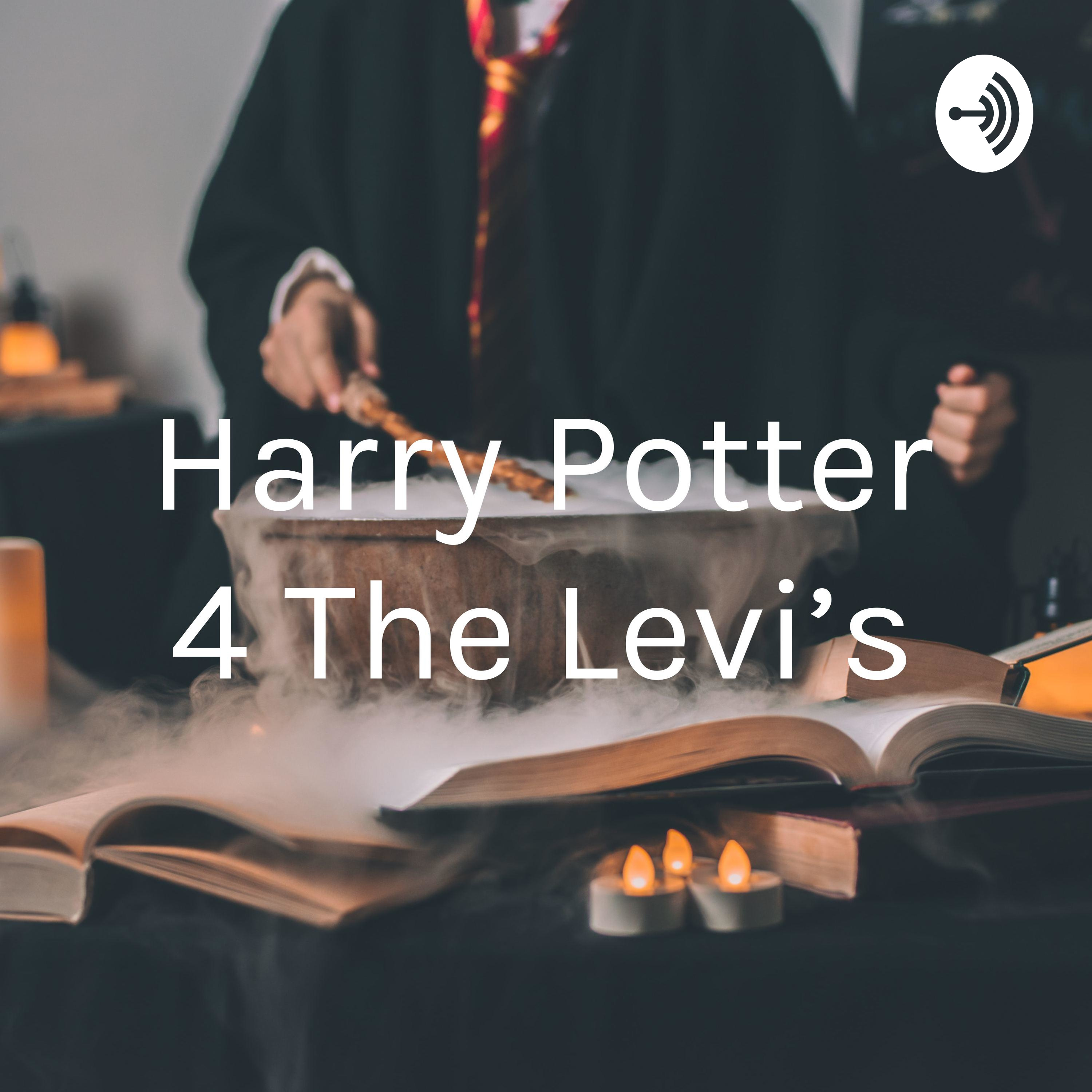 Harry Potter 4 The Levi's