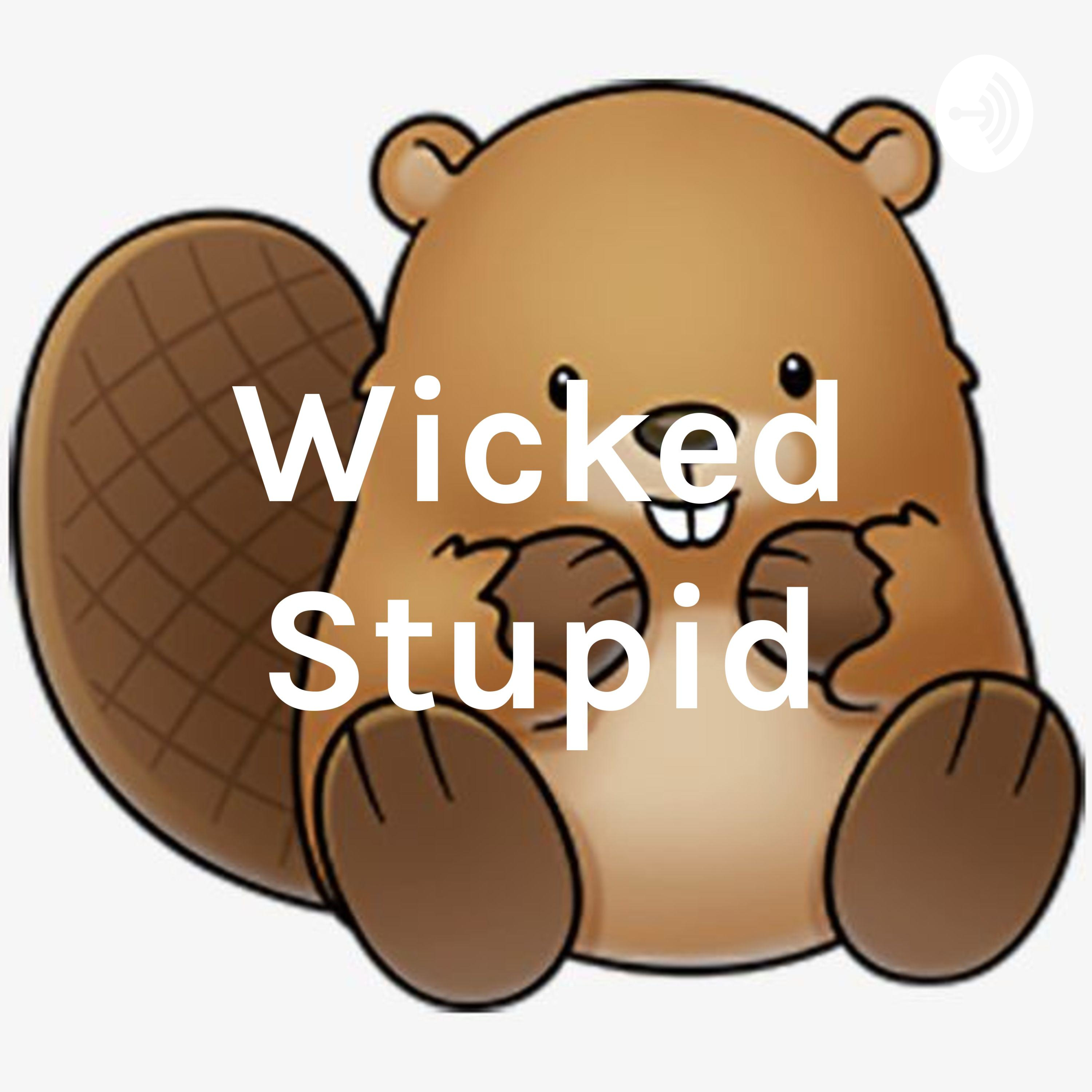 Wicked Stupid podcast artwork