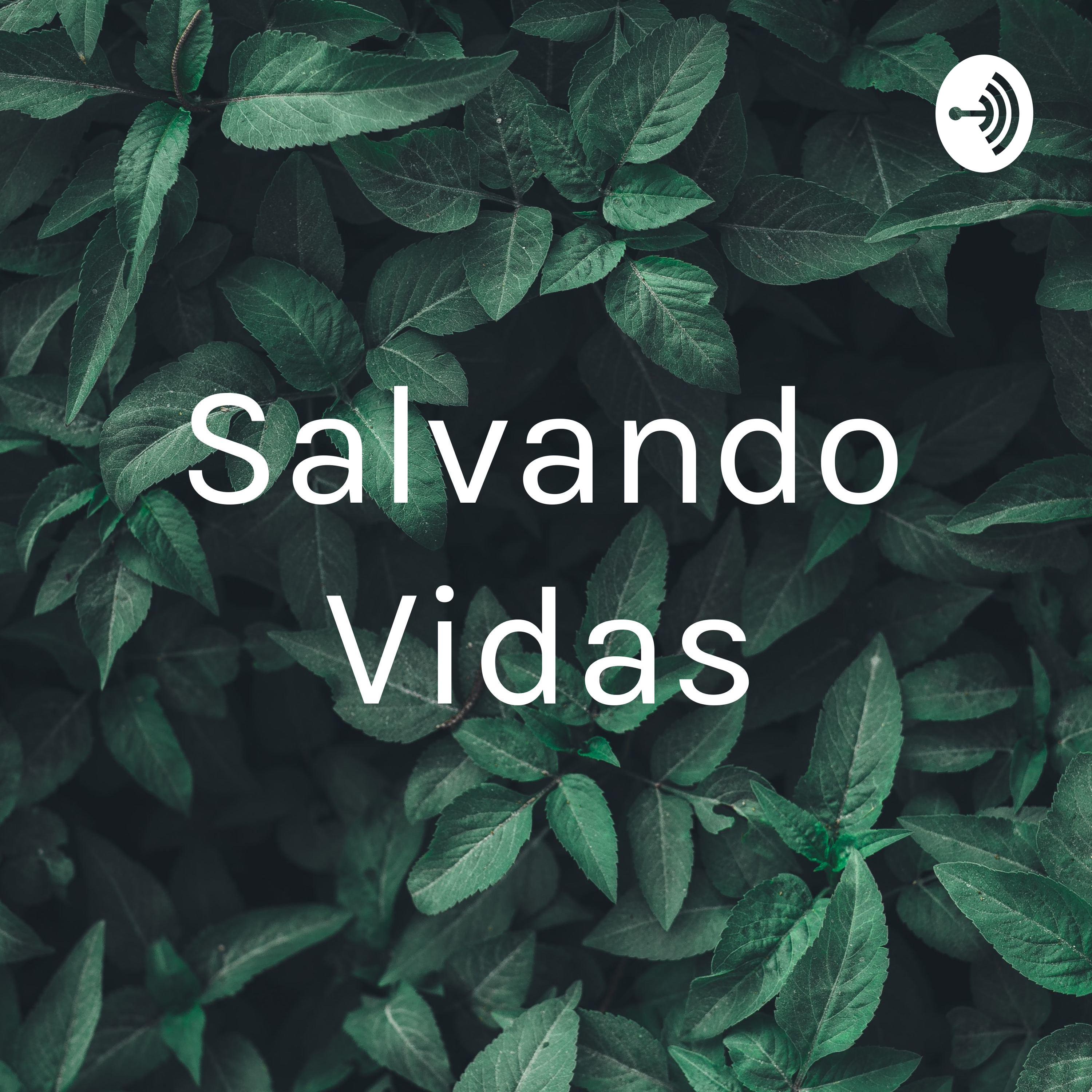 Salvando Vidas