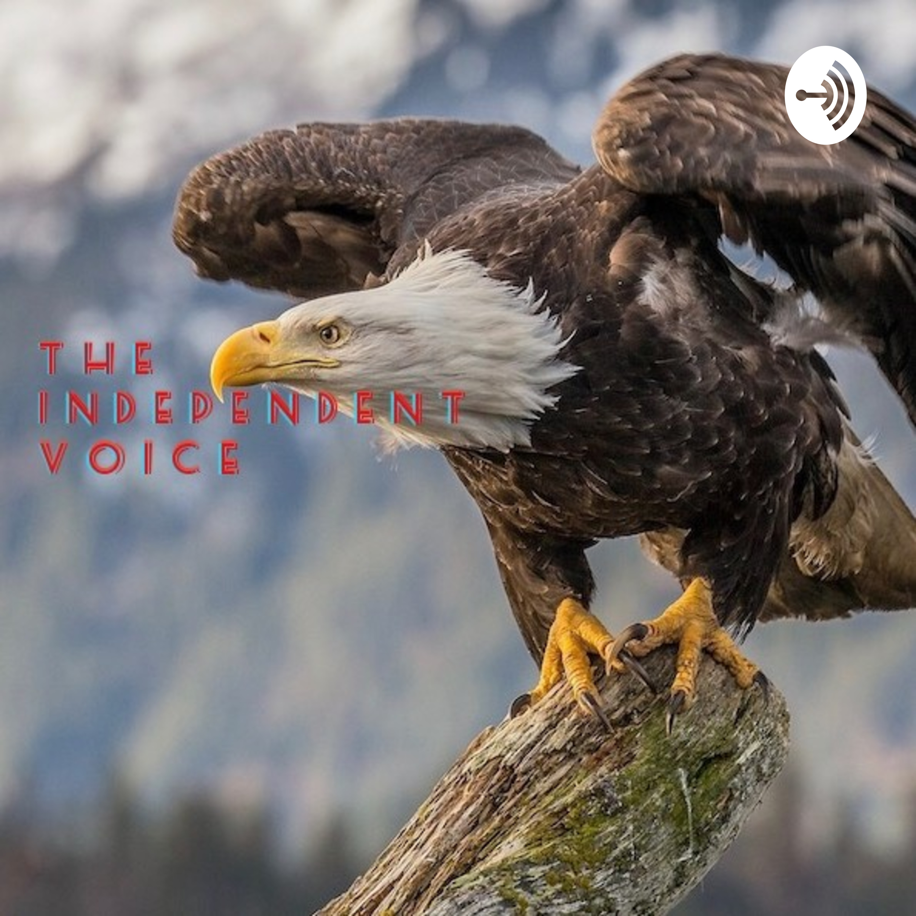 The Independent Voice 
