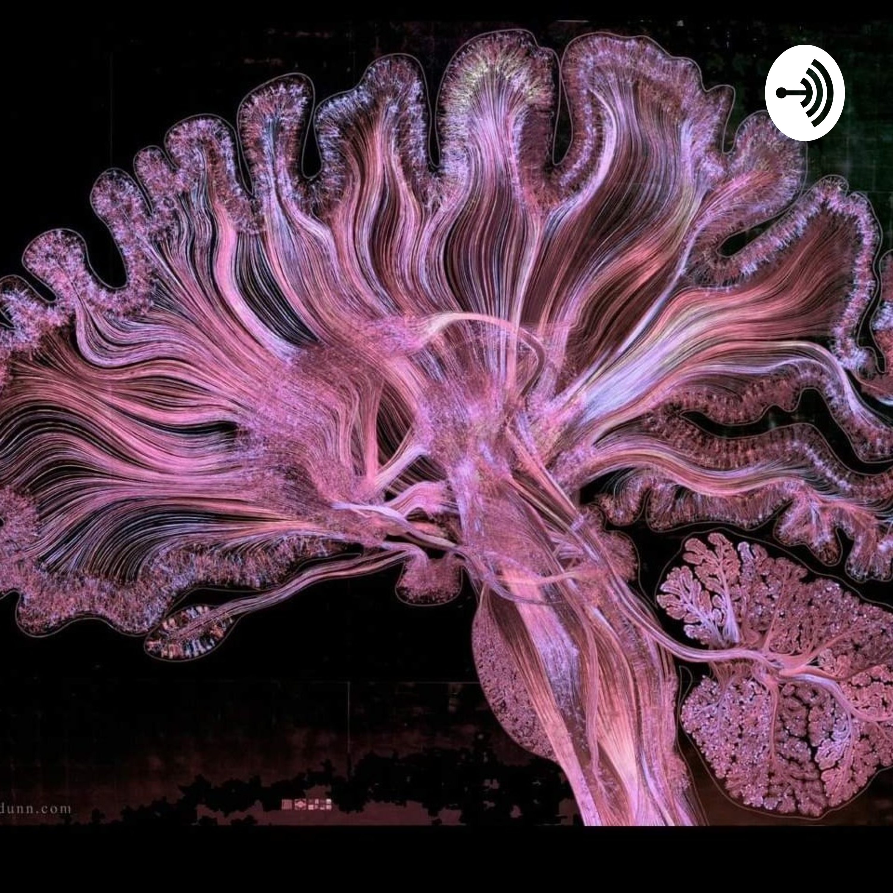 Formación Y Cambio De Actitudes En El Consumidor 