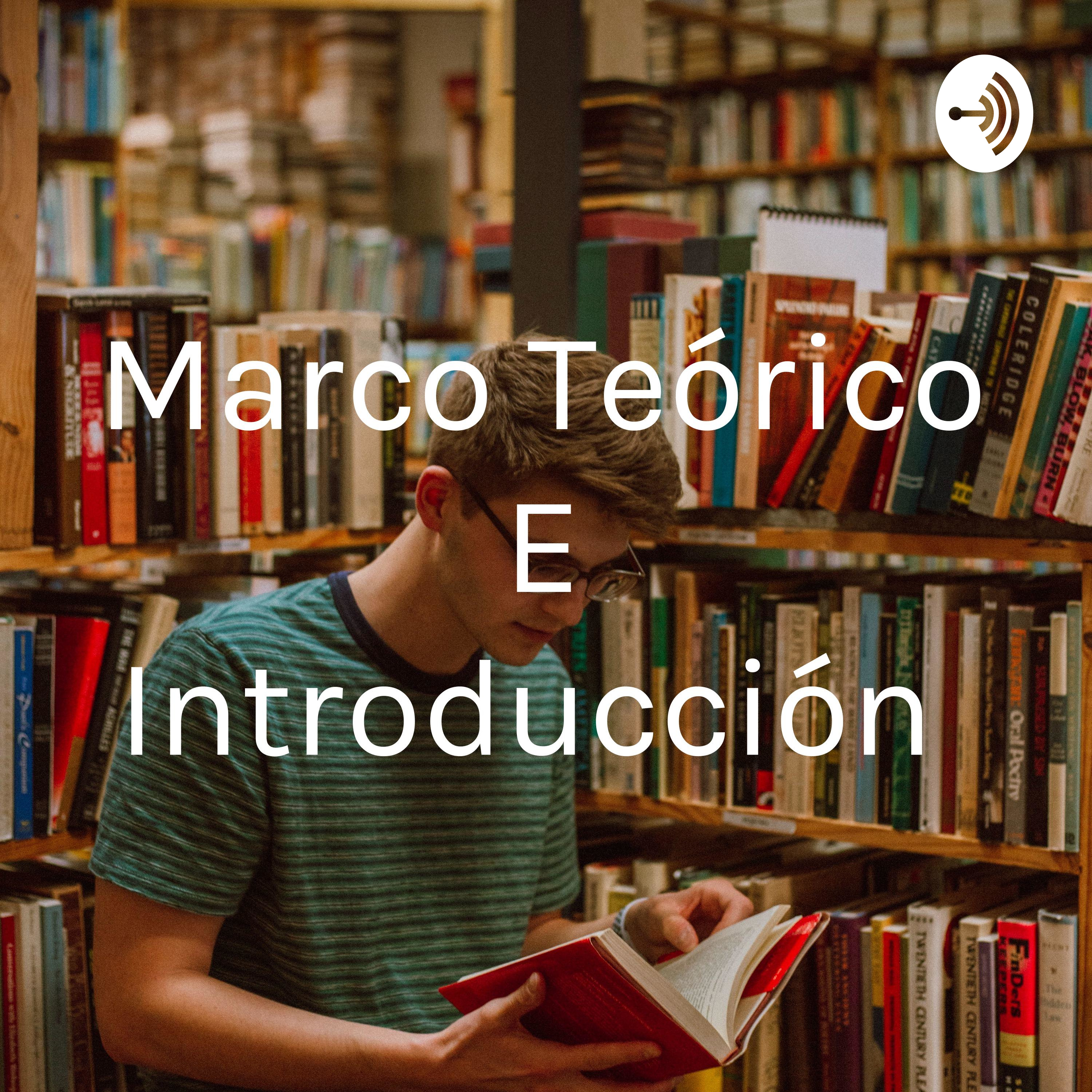 Marco Teórico E Introducción 