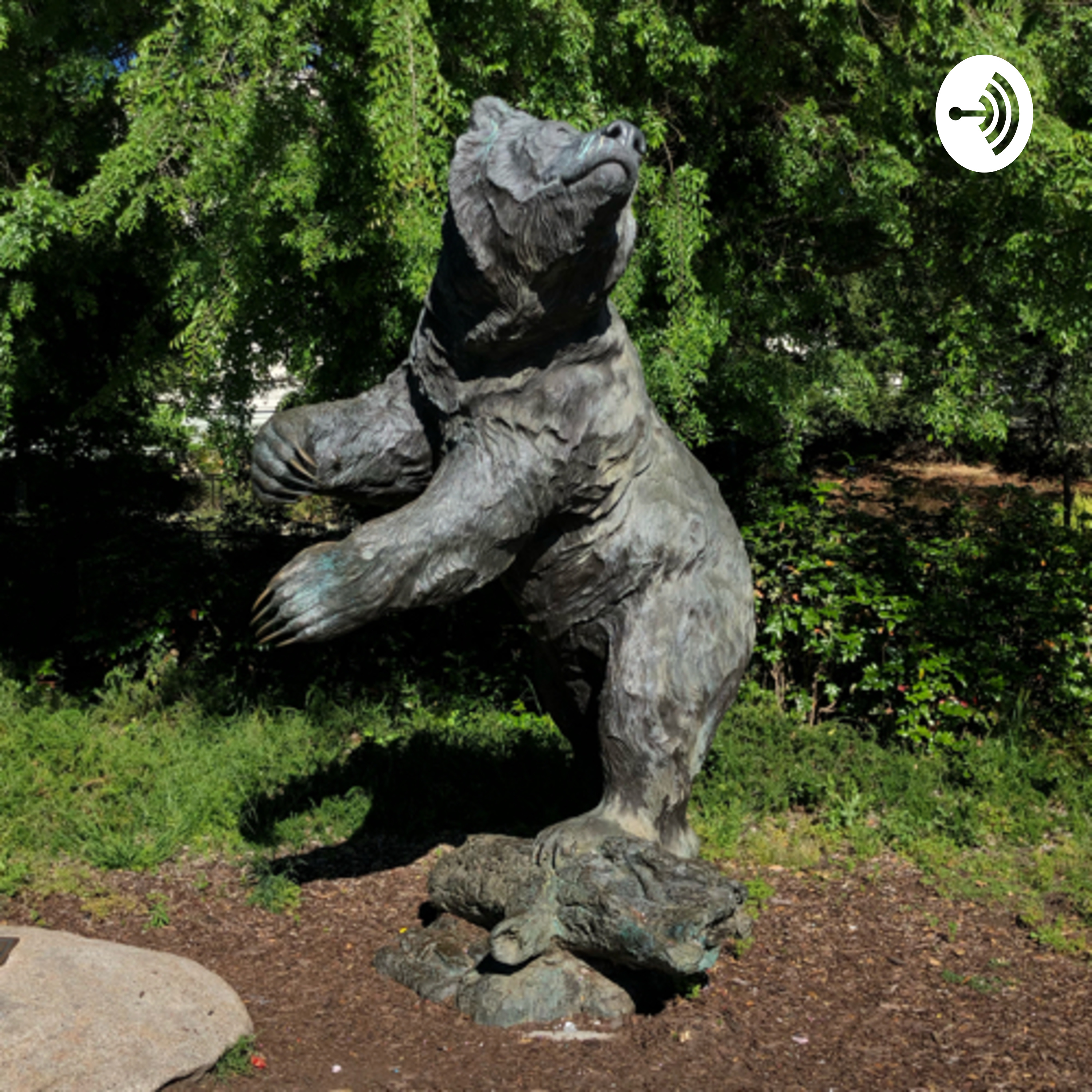 The Benji Friedman Podcast