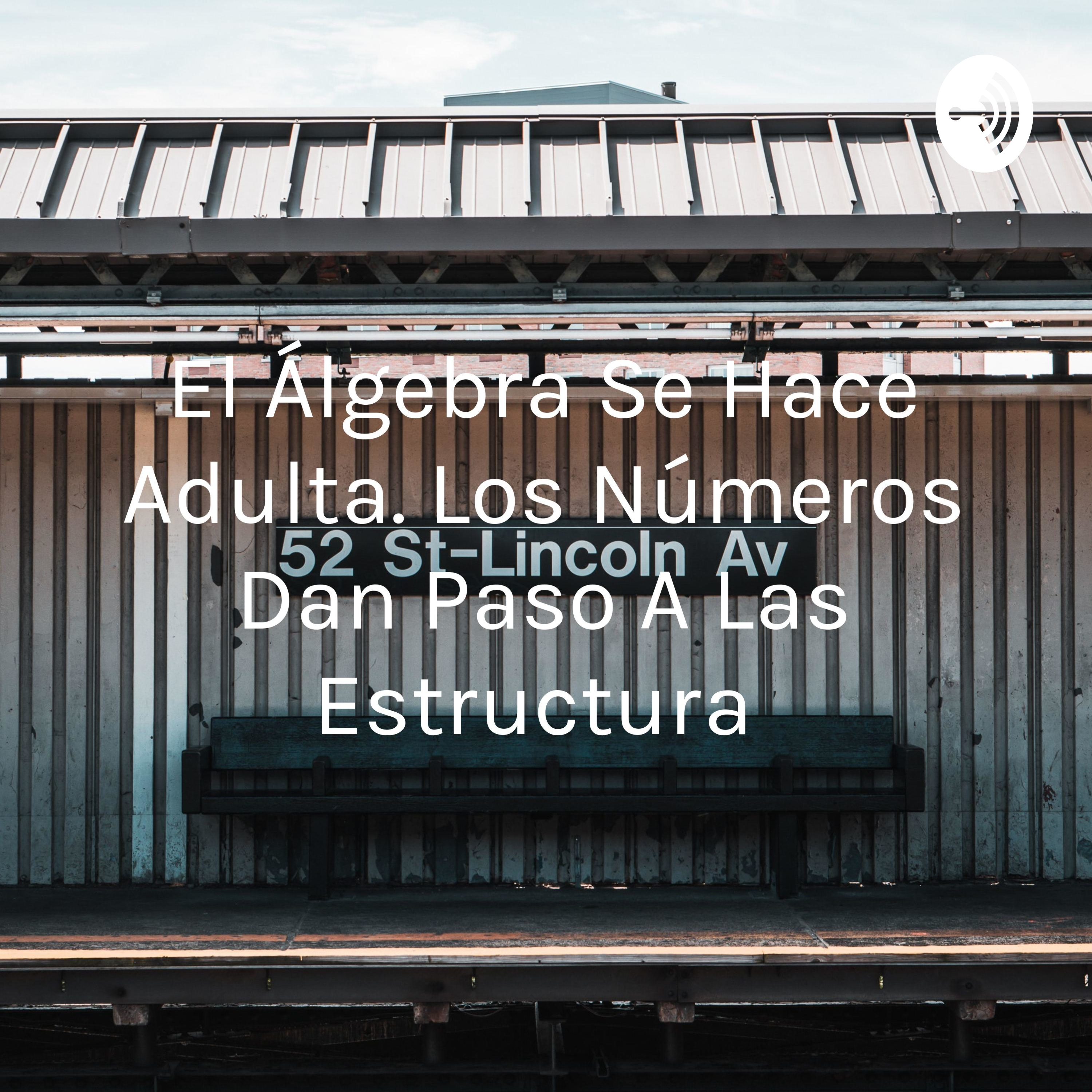 El Álgebra Se Hace Adulta. Los Números Dan Paso A Las Estructura 
