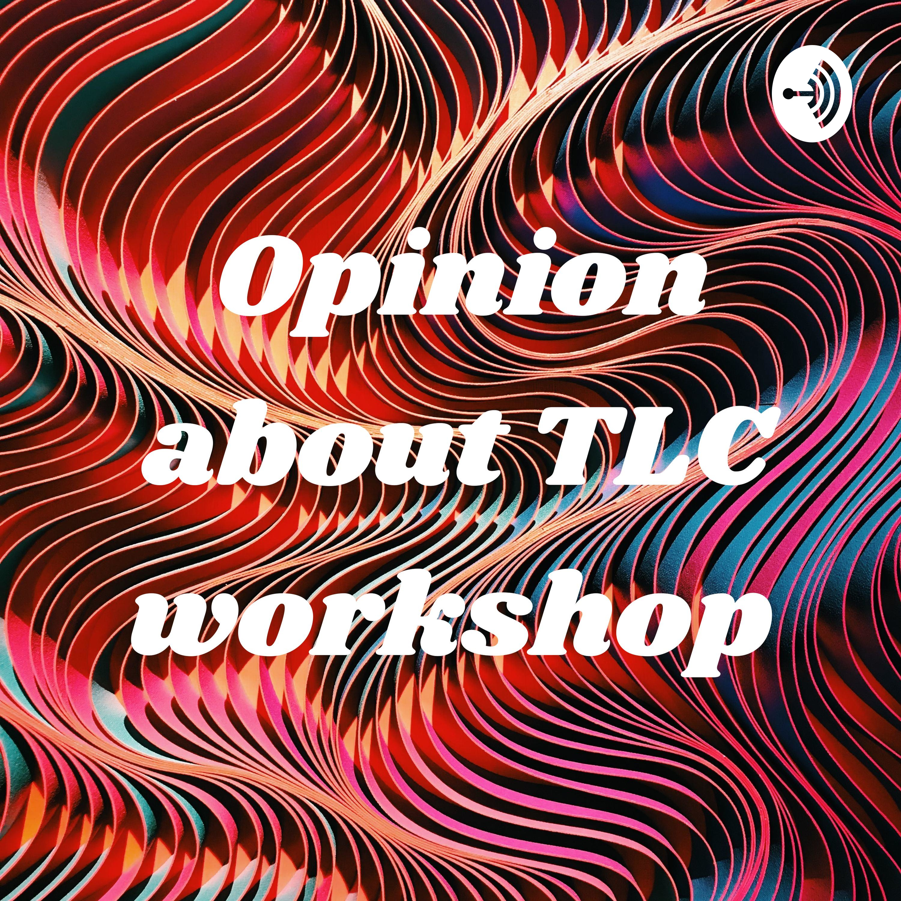 Opinion about TLC workshop 