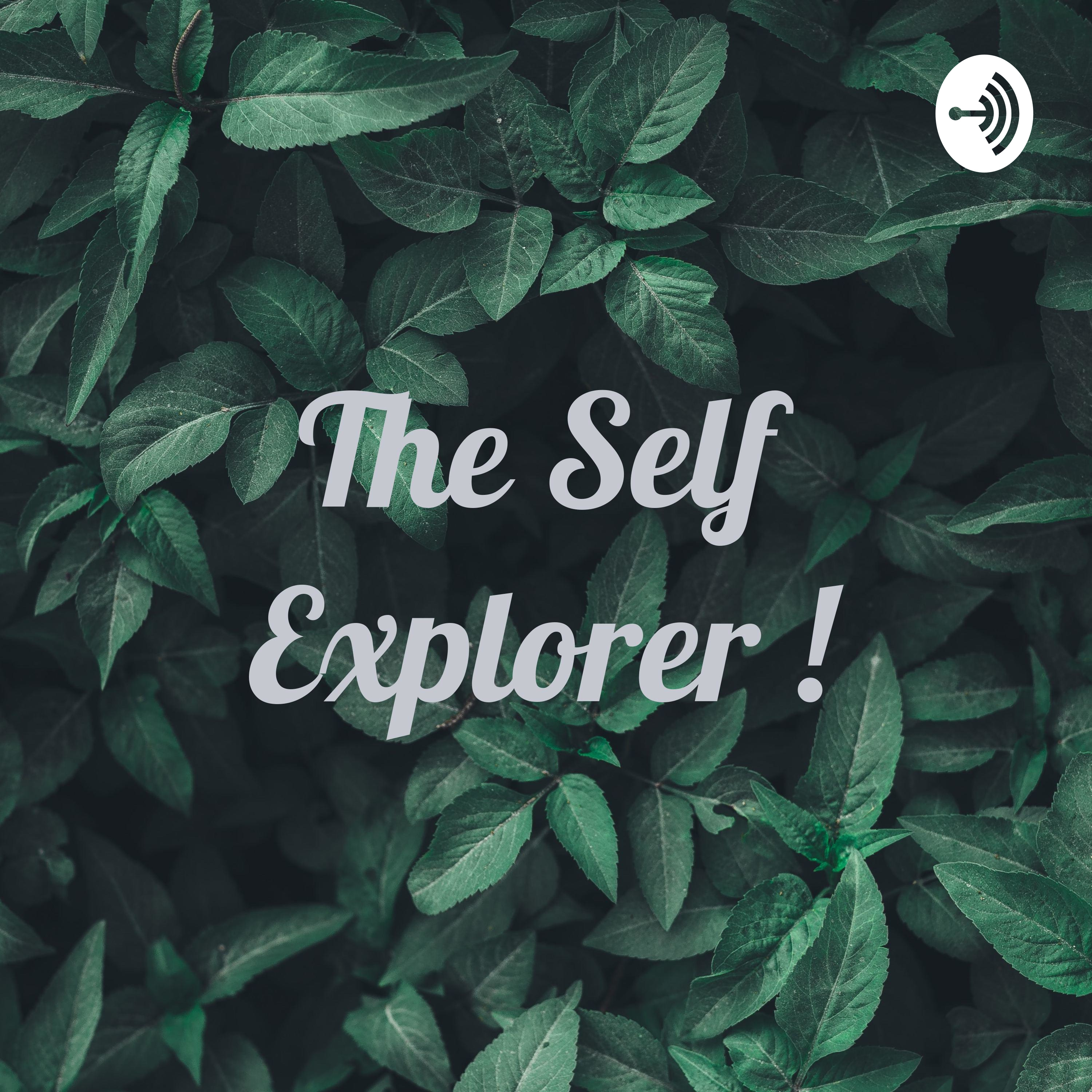 The Self Explorer !