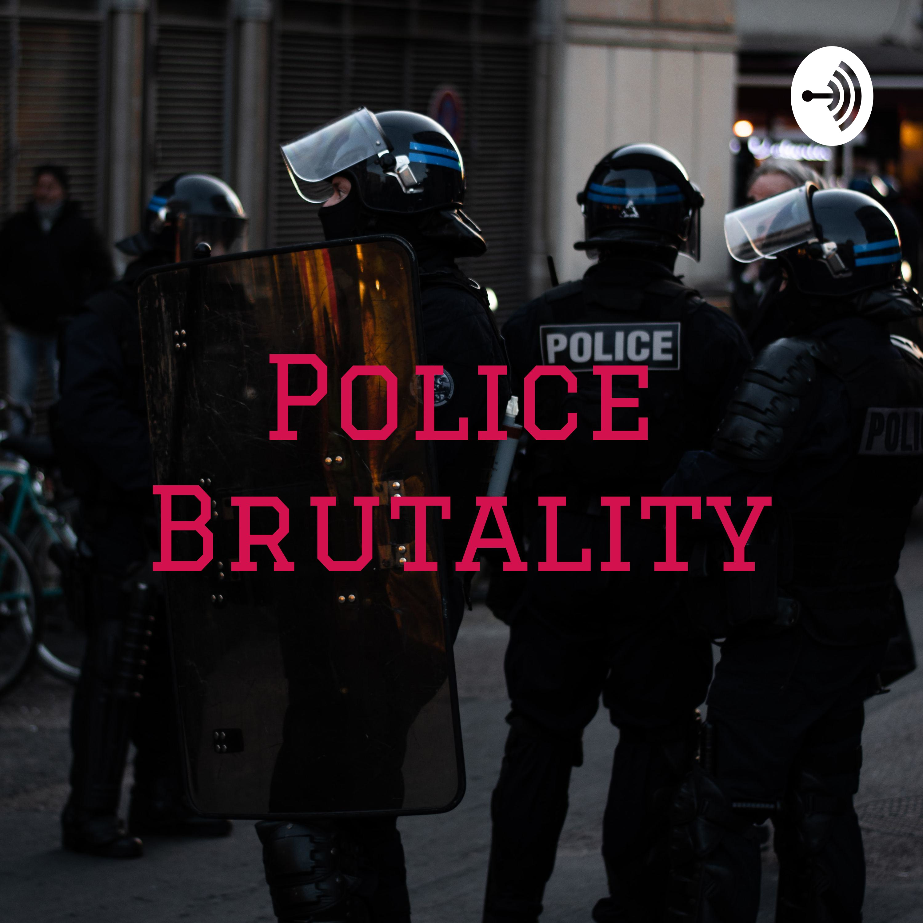 Police Brutality - Meredith Perez