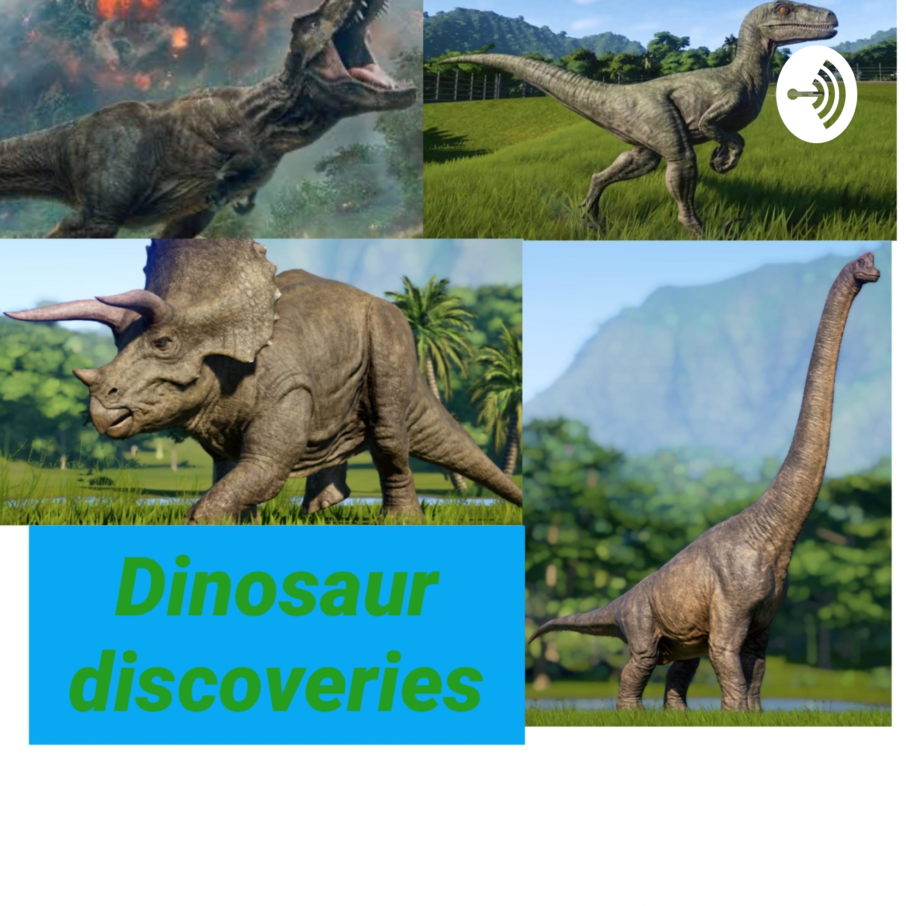 Dinosaur discoveries