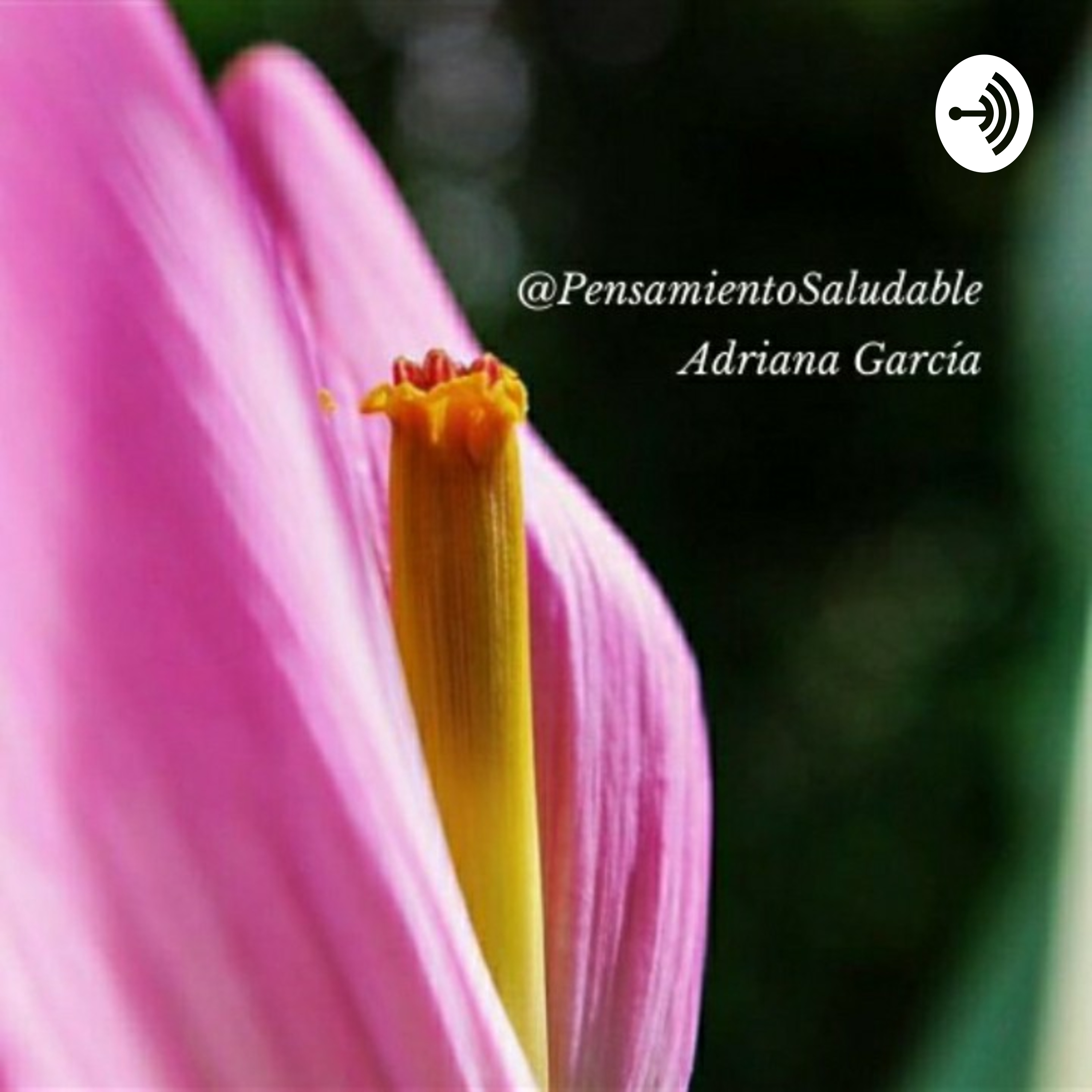 Pensamiento Saludable