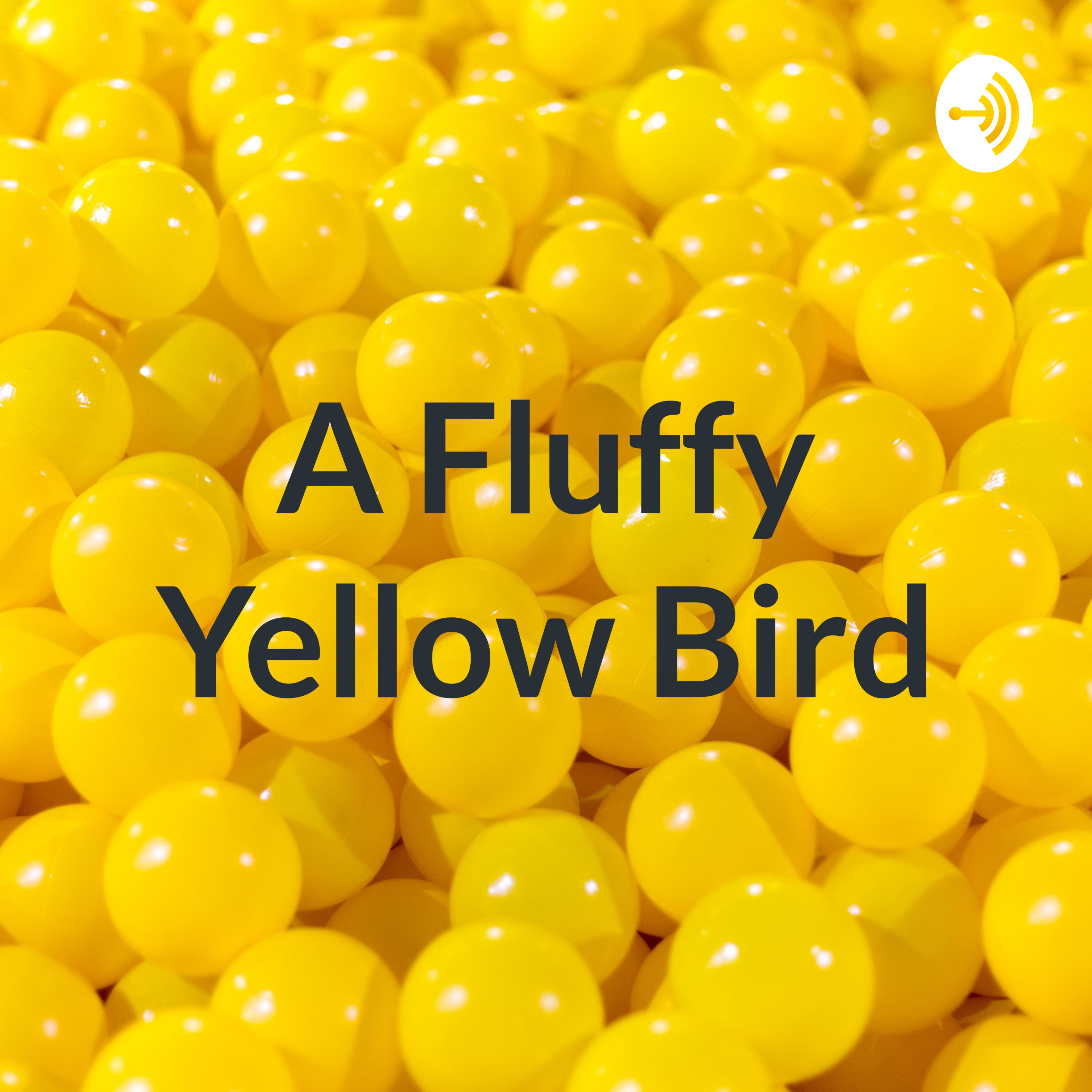 A Fluffy Yellow Bird