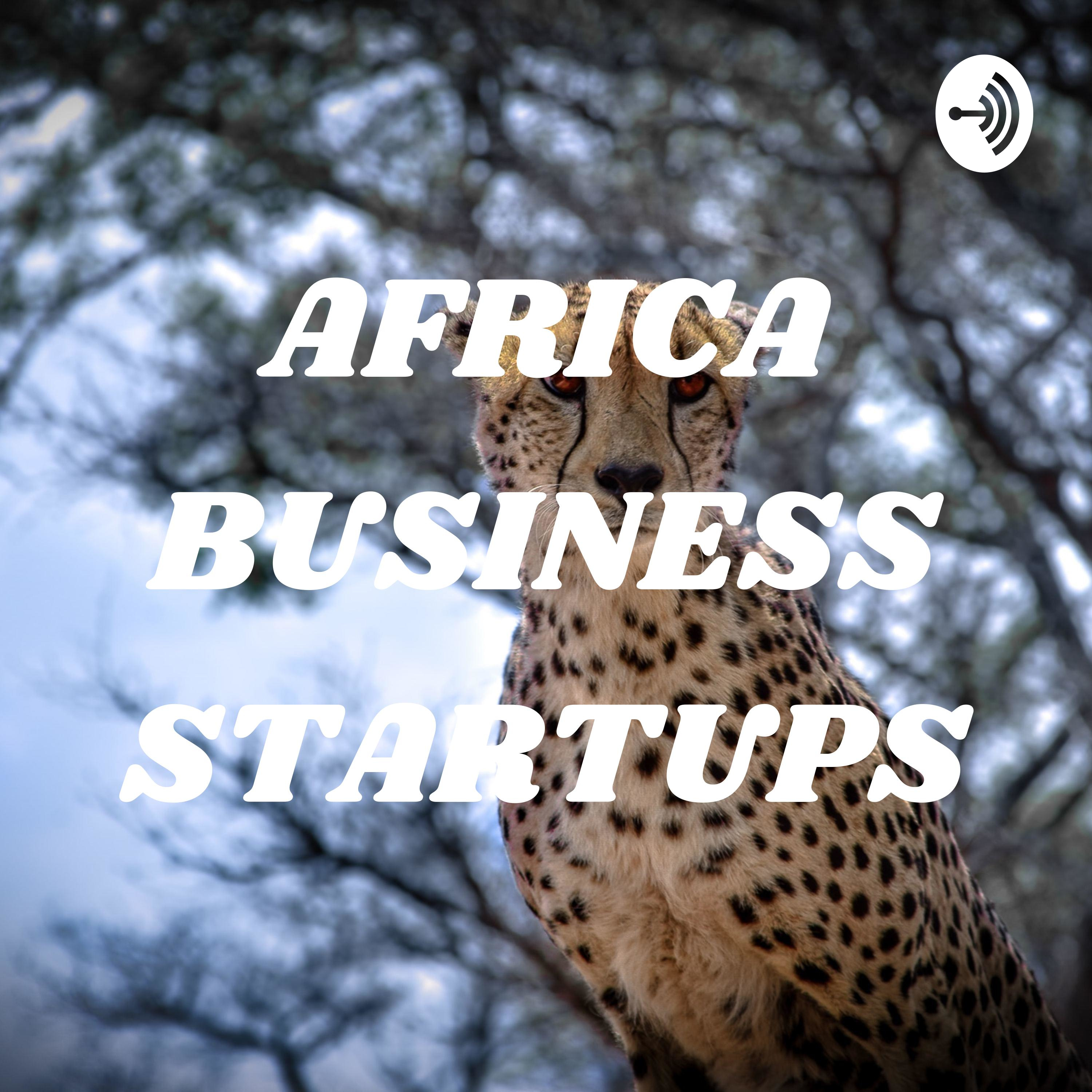 AFRICA BUSINESS STARTUPS
