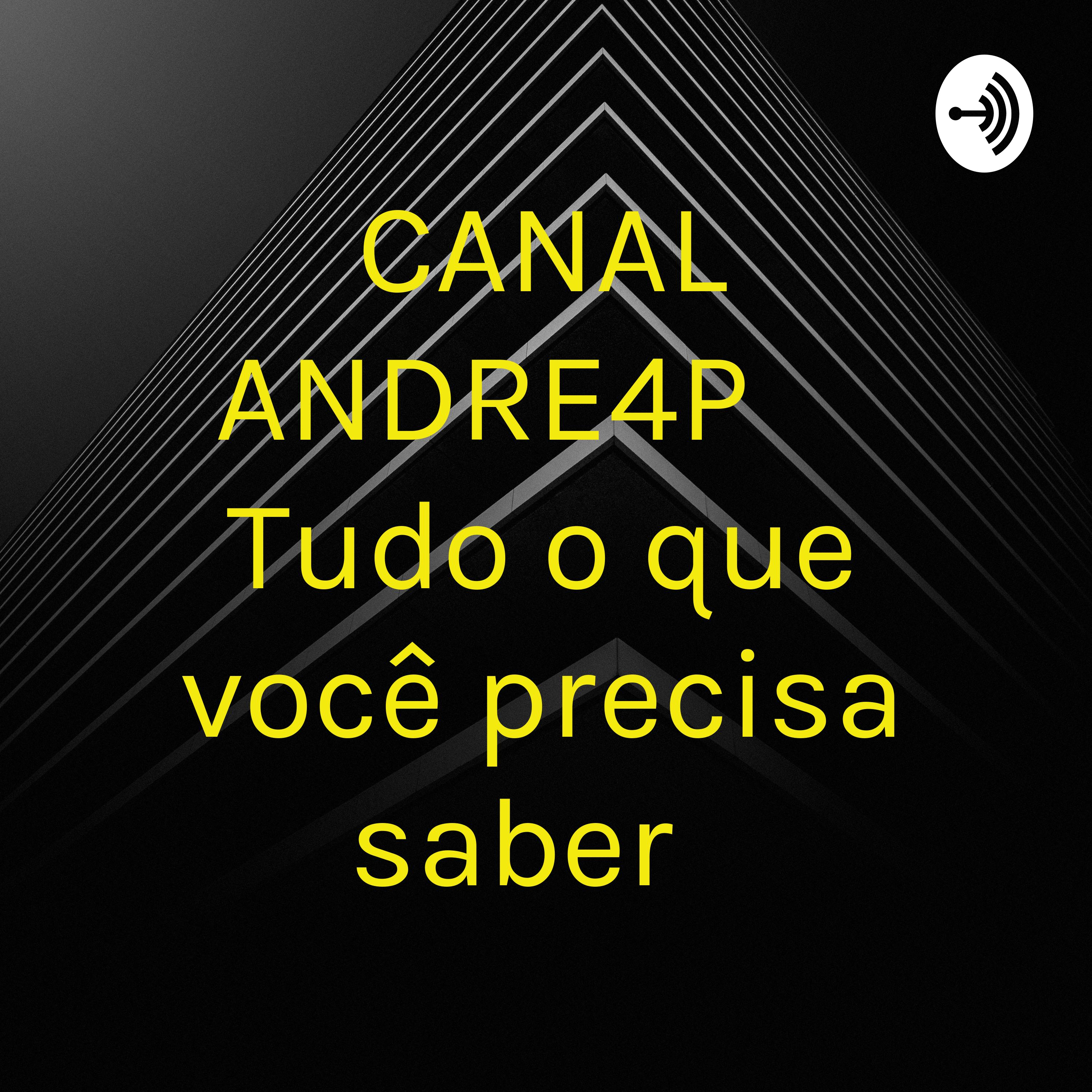 ANDRE4P   Tudo o que você precisa saber