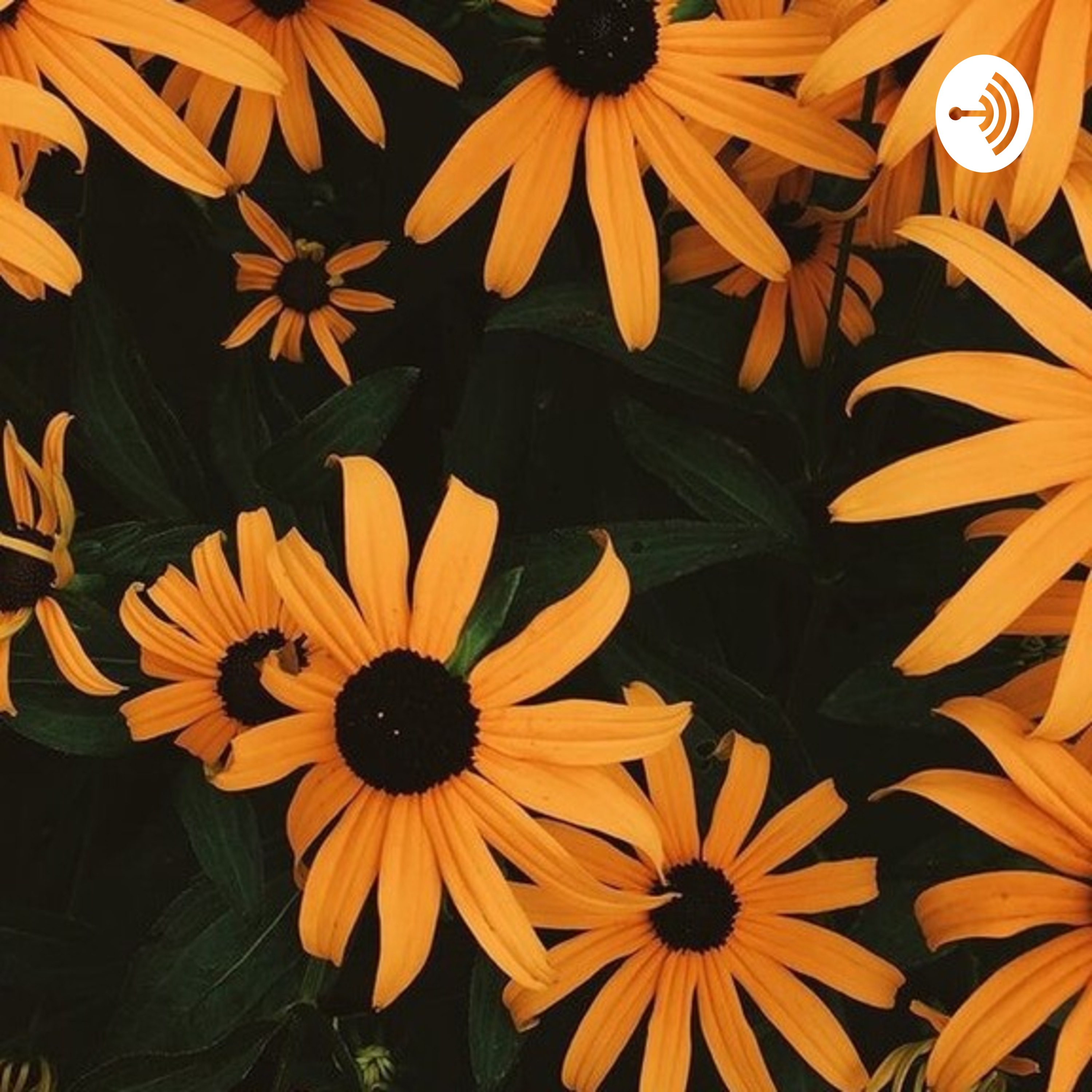 ⭐🏳️‍🌈🌹